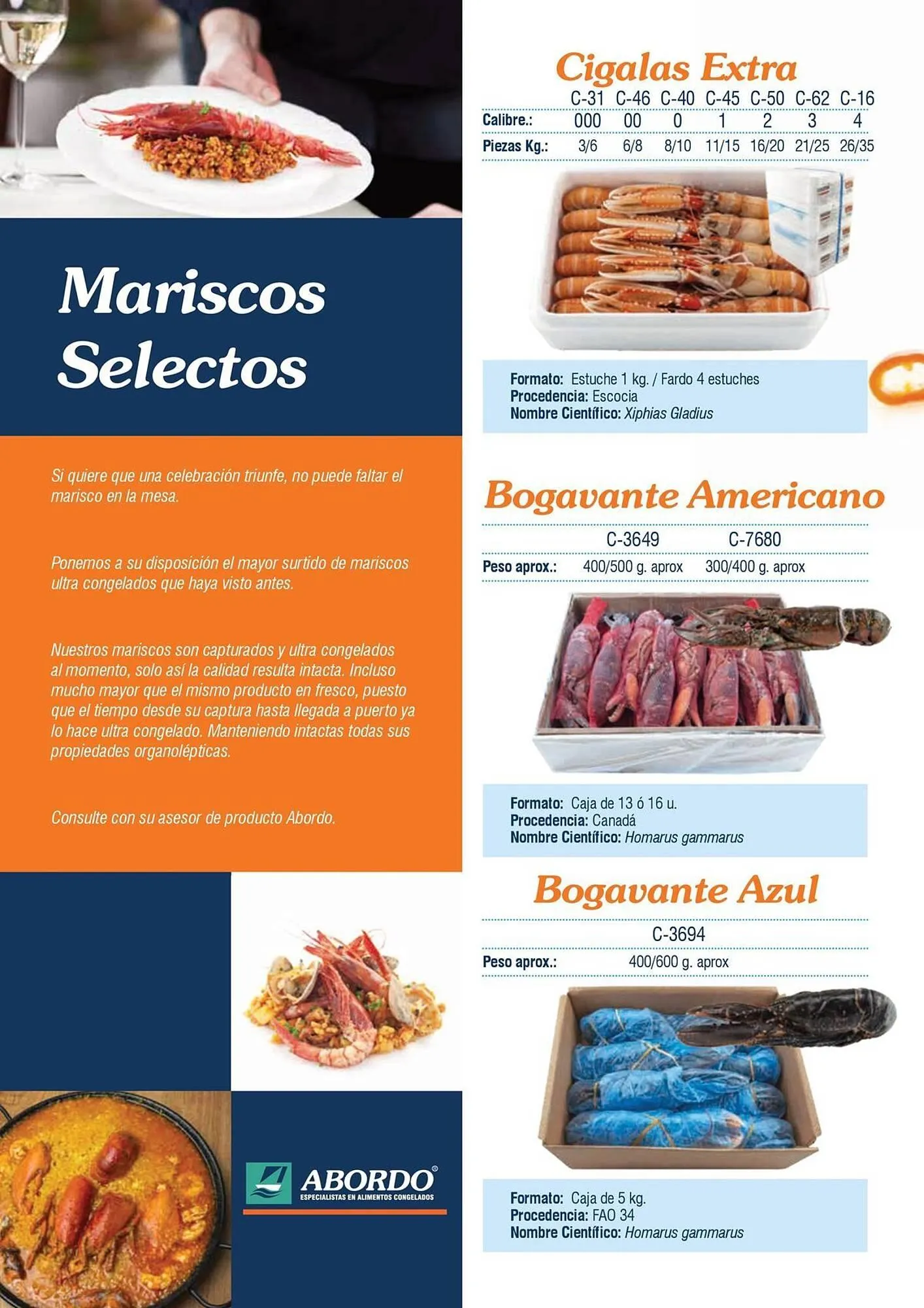Catálogo de Folleto Abordo 5 de marzo al 30 de junio 2026 - Página 32