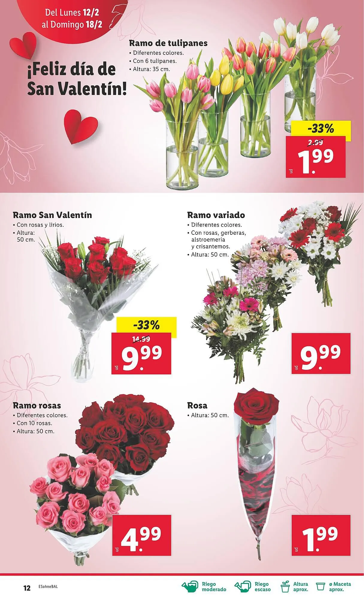 Catálogo de Folleto Lidl 12 de febrero al 18 de febrero 2024 - Página 30