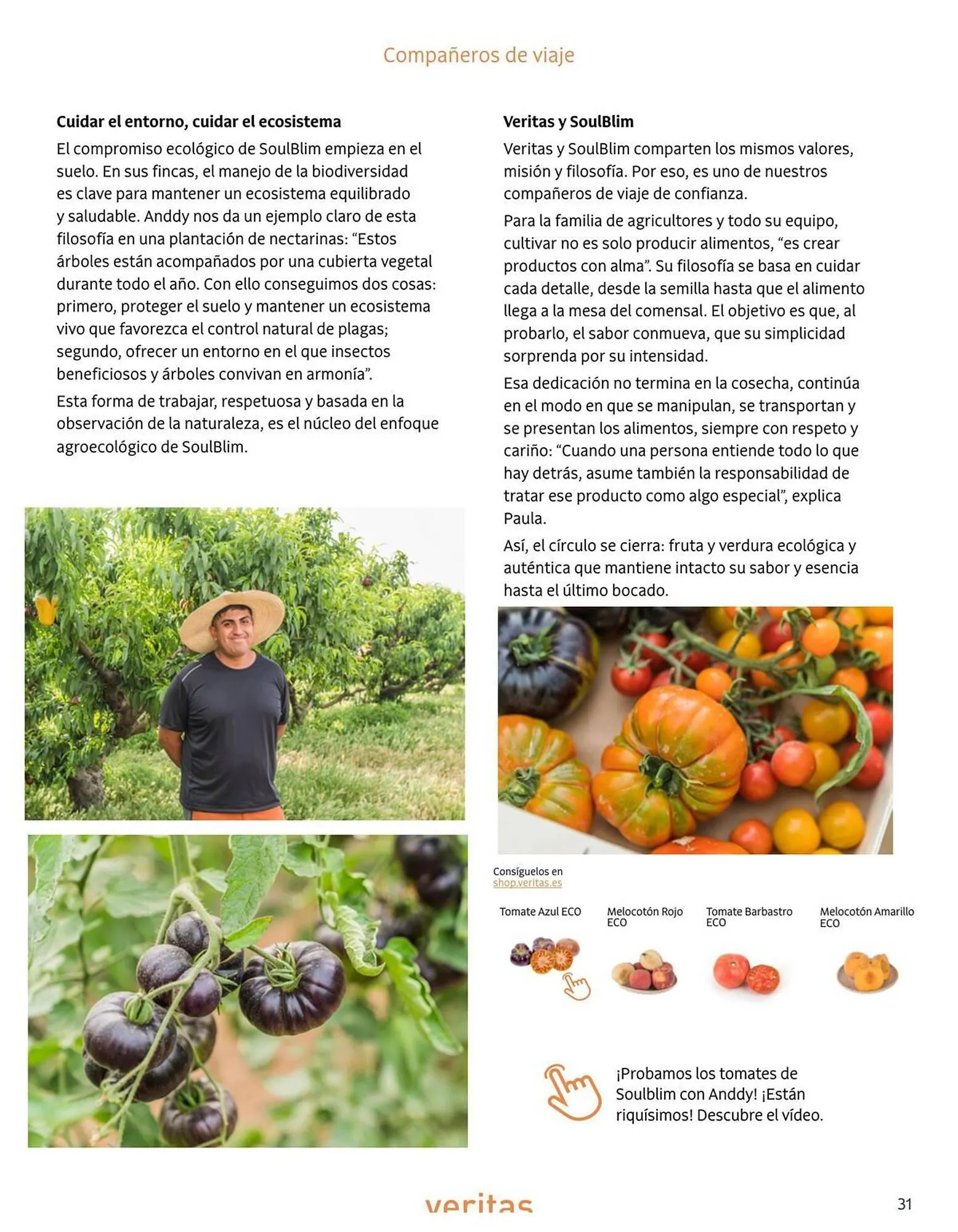 Catálogo de Folleto Veritas 1 de julio al 31 de agosto 2025 - Página 31