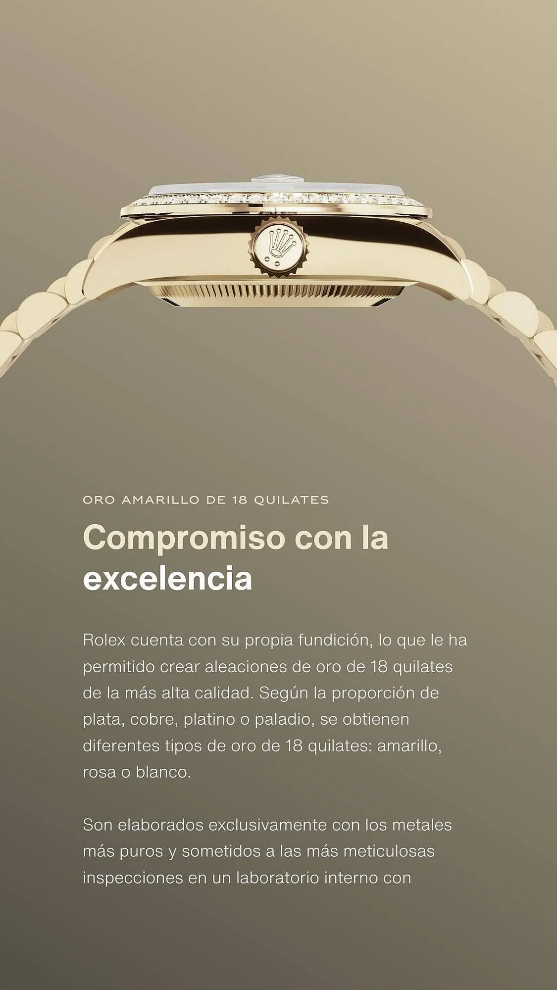 Catálogo de Folleto Rolex 4 de agosto al 28 de noviembre 2023 - Página 7