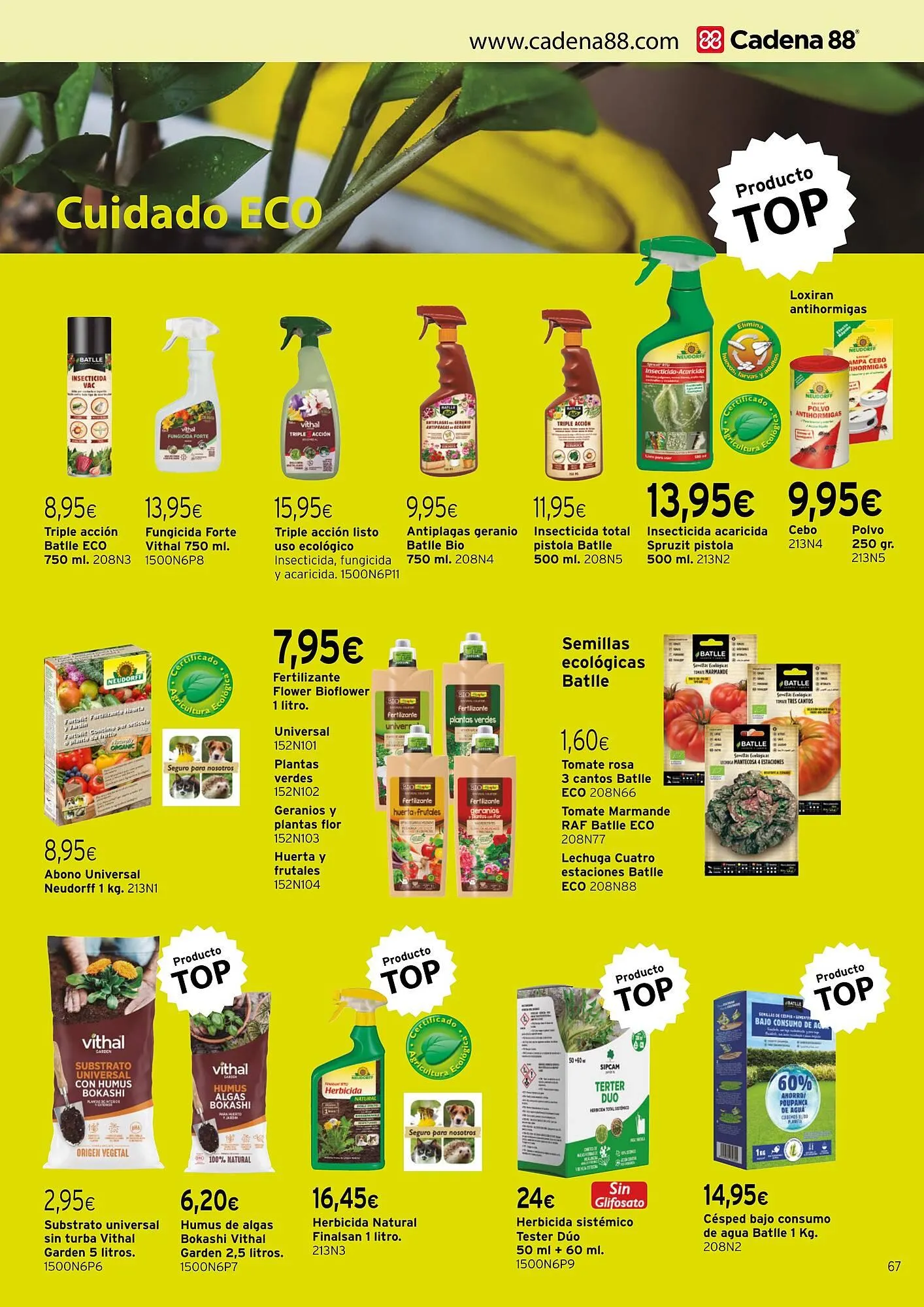 Catálogo de Folleto Cadena88 11 de marzo al 31 de agosto 2025 - Página 67