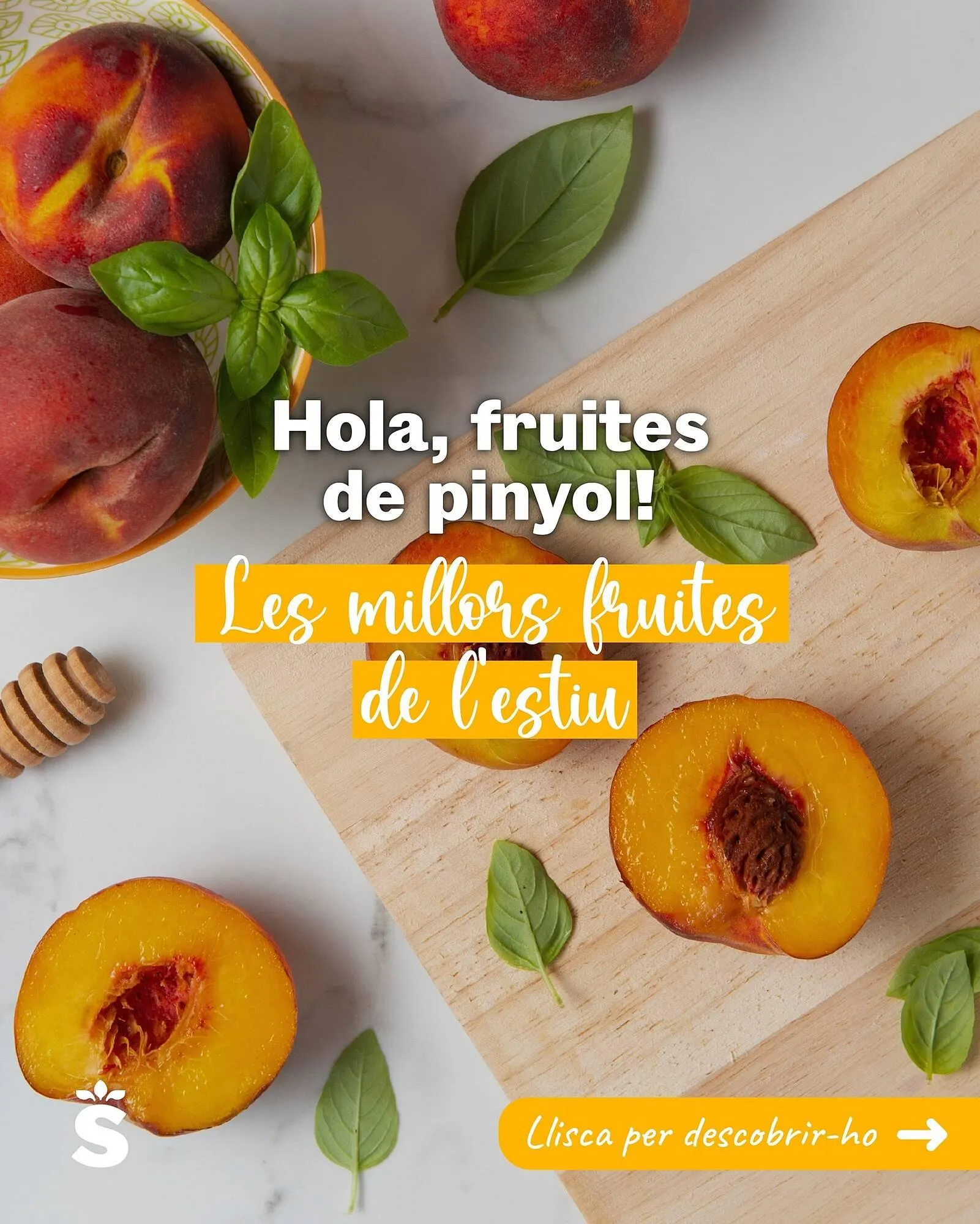 Folleto Sorli - 1