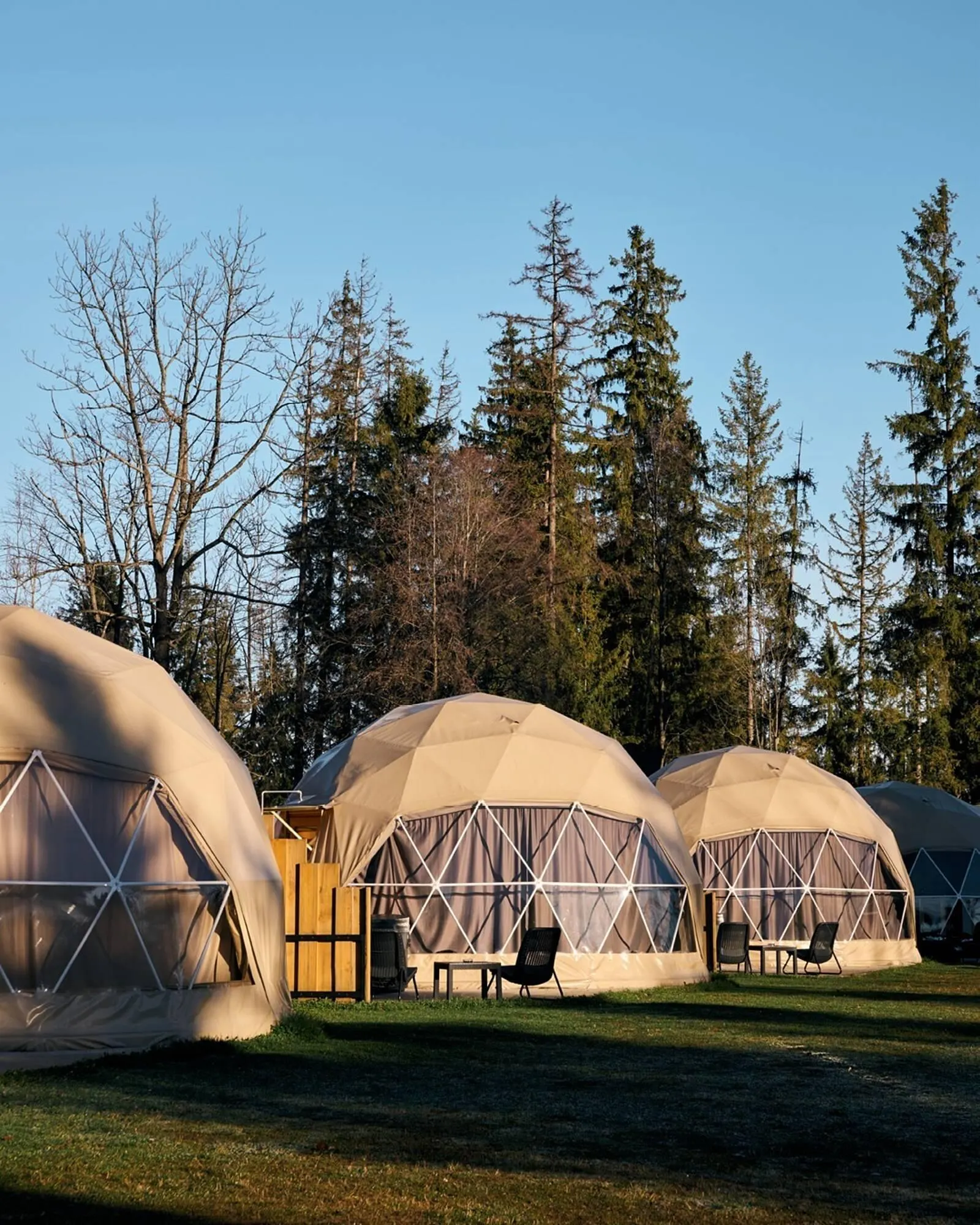 Catálogo de Folleto Napapijri 8 de diciembre al 21 de diciembre 2025 - Página 2