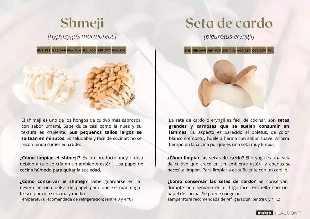 Catálogo de GUIA DE TRUFAS Y SETAS MAKRO - MAKRO 31 de diciembre al 14 de enero 2025 - Página 14