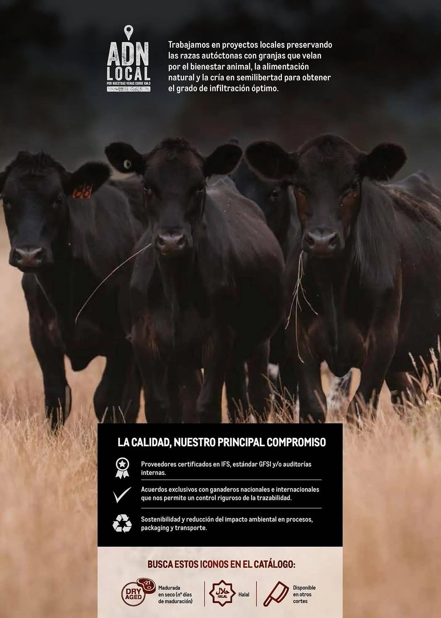 Catálogo de Catálogo Makro 5 de noviembre al 23 de noviembre 2025 - Página 2