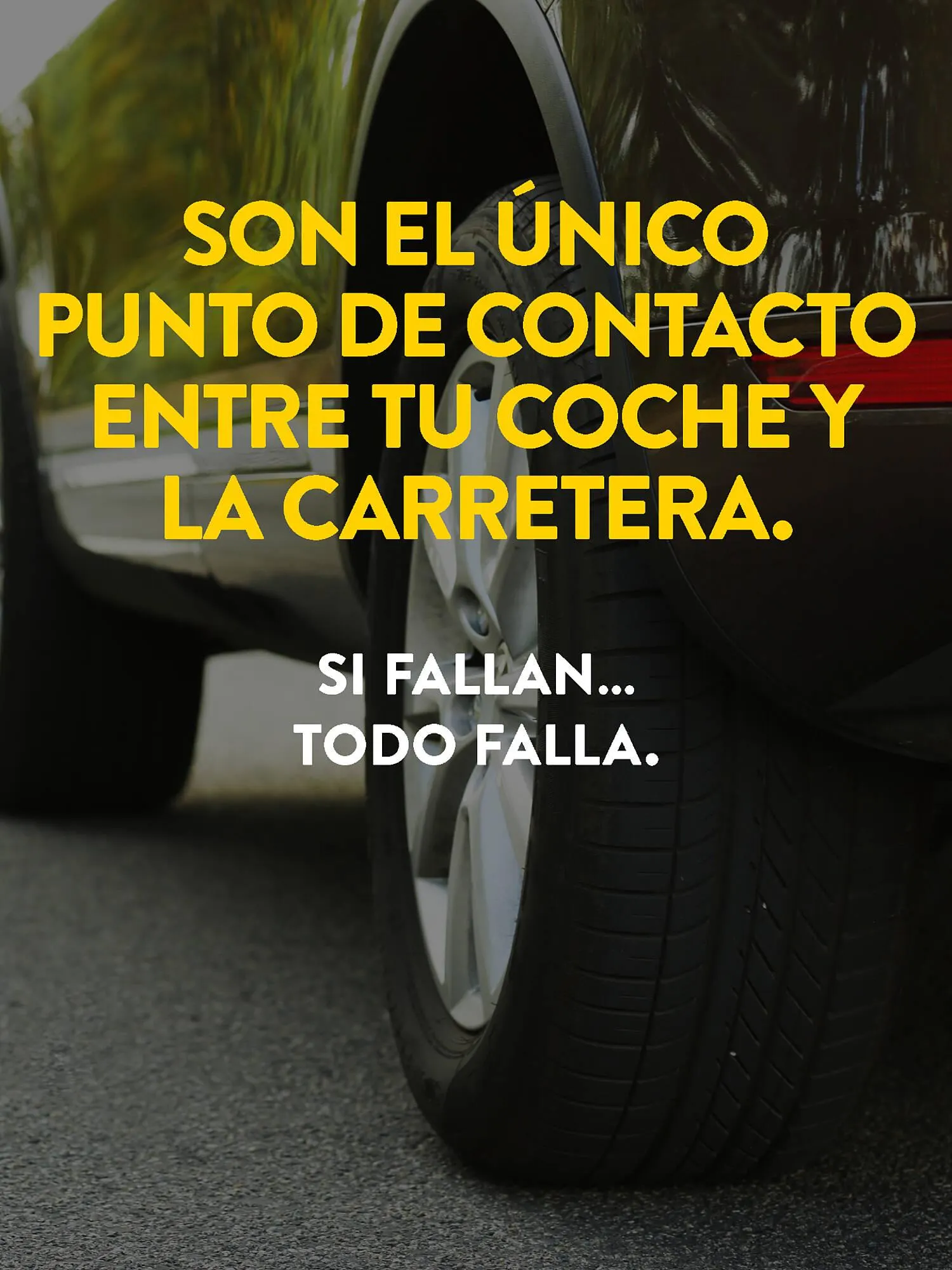 Catálogo de Folleto Rodi 9 de abril al 6 de junio 2026 - Página 2