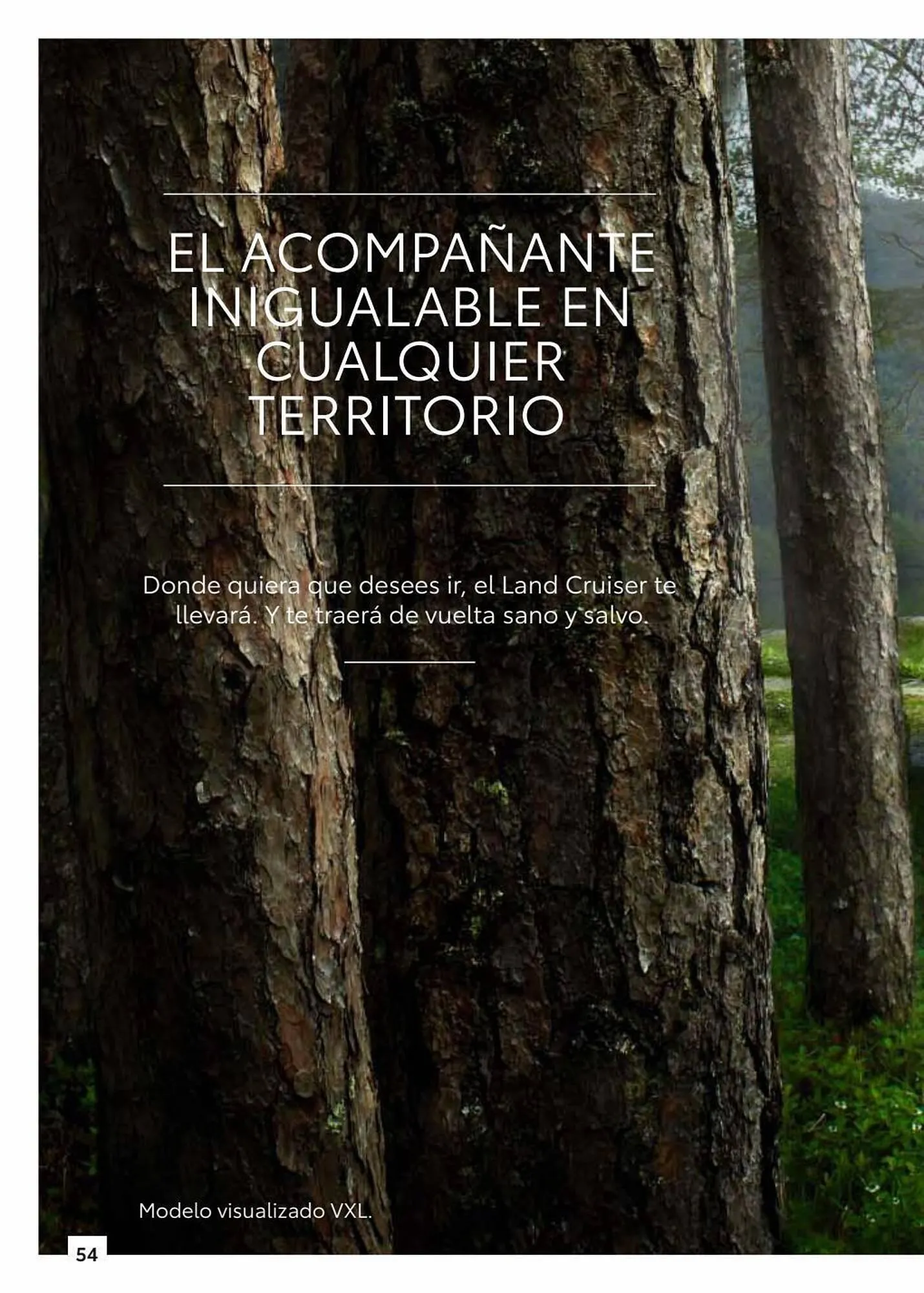 Catálogo de Folleto Toyota 8 de enero al 8 de enero 2024 - Página 106