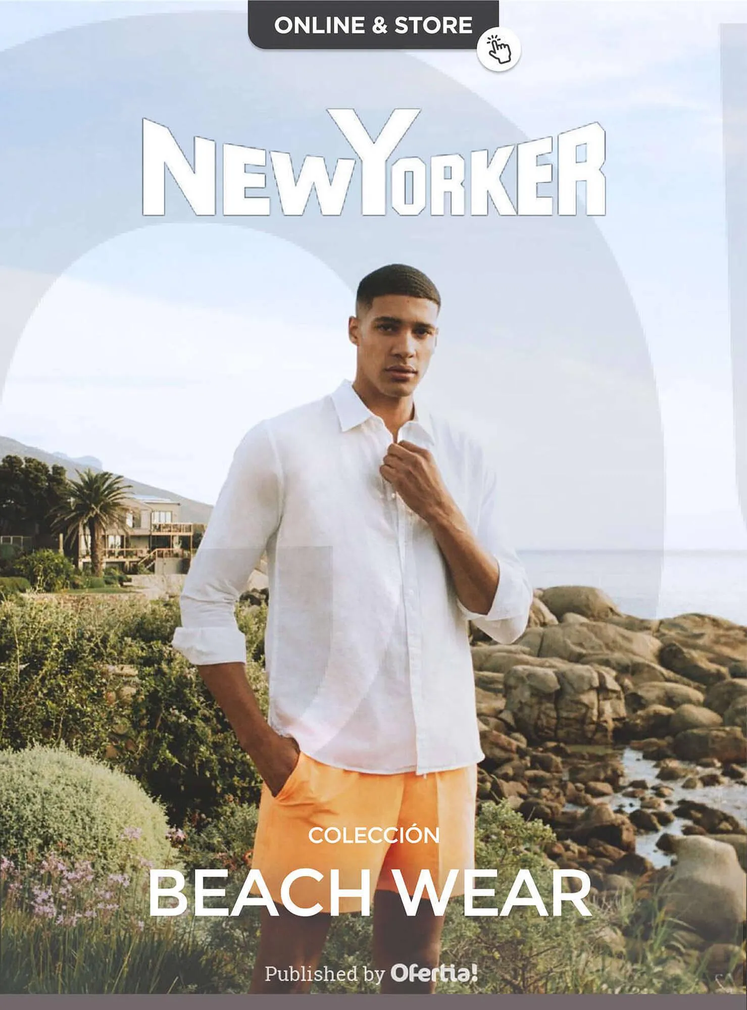 Folleto New Yorker - 1