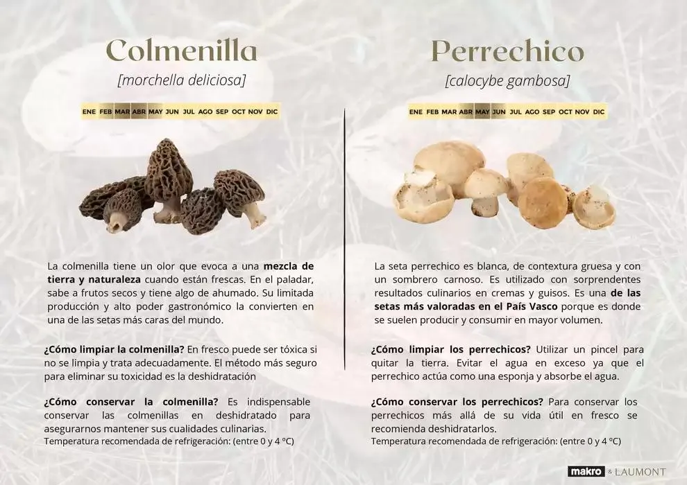 Catálogo de GUIA DE TRUFAS Y SETAS MAKRO - MAKRO 31 de diciembre al 14 de enero 2025 - Página 11