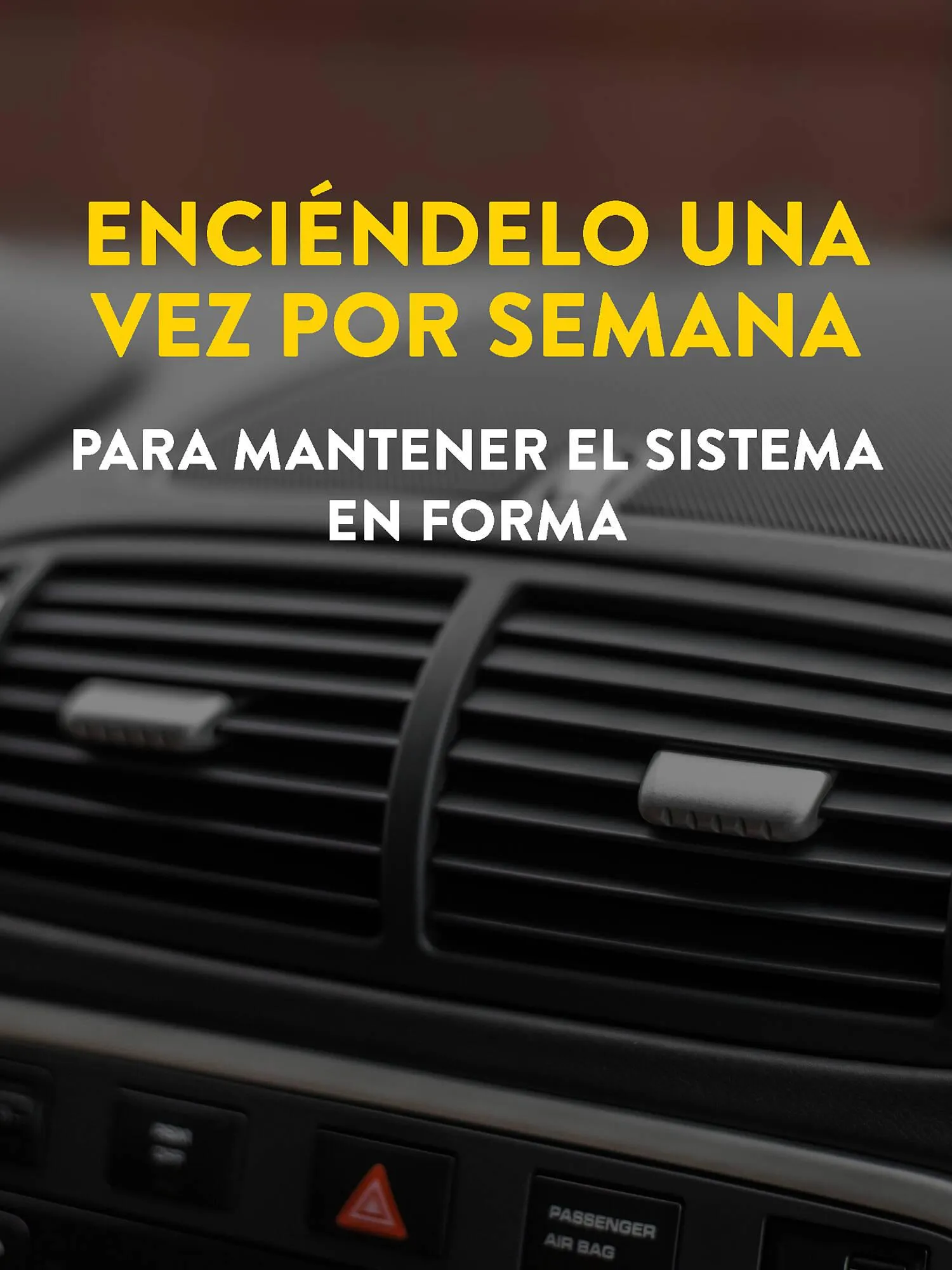 Catálogo de Folleto Rodi 14 de abril al 4 de mayo 2026 - Página 3