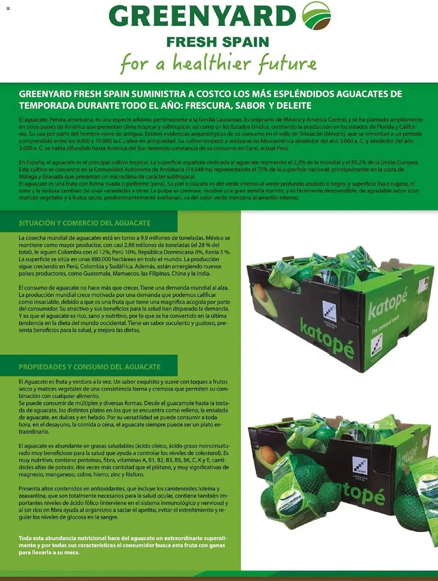 Catálogo de Folleto Costco 8 de abril al 31 de julio 2025 - Página 94