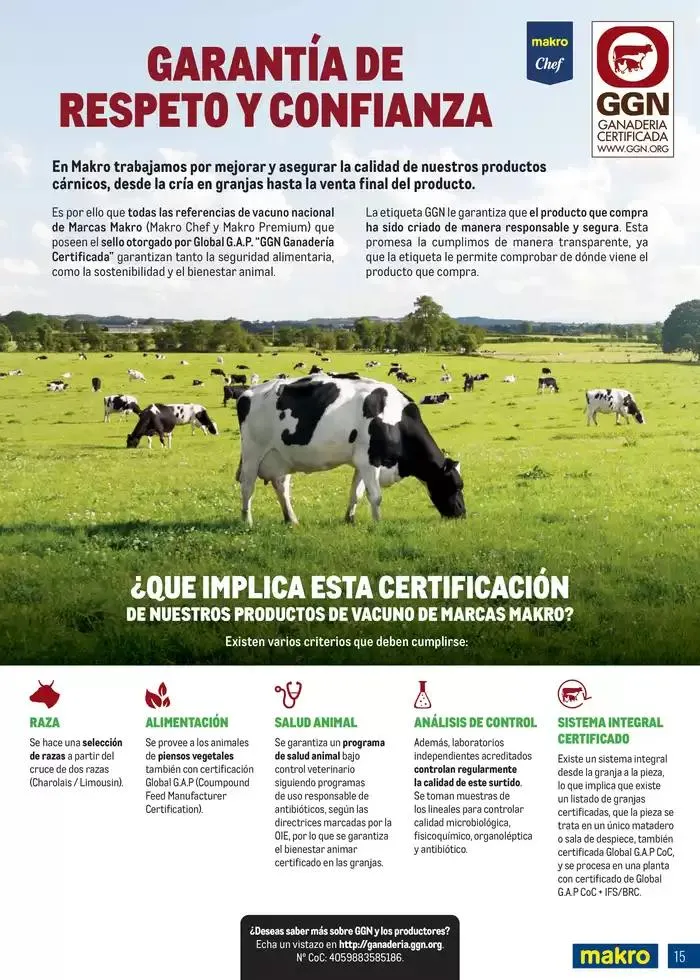 Catálogo de Especial Carnes Canarias 7 de abril al 4 de mayo 2025 - Página 15
