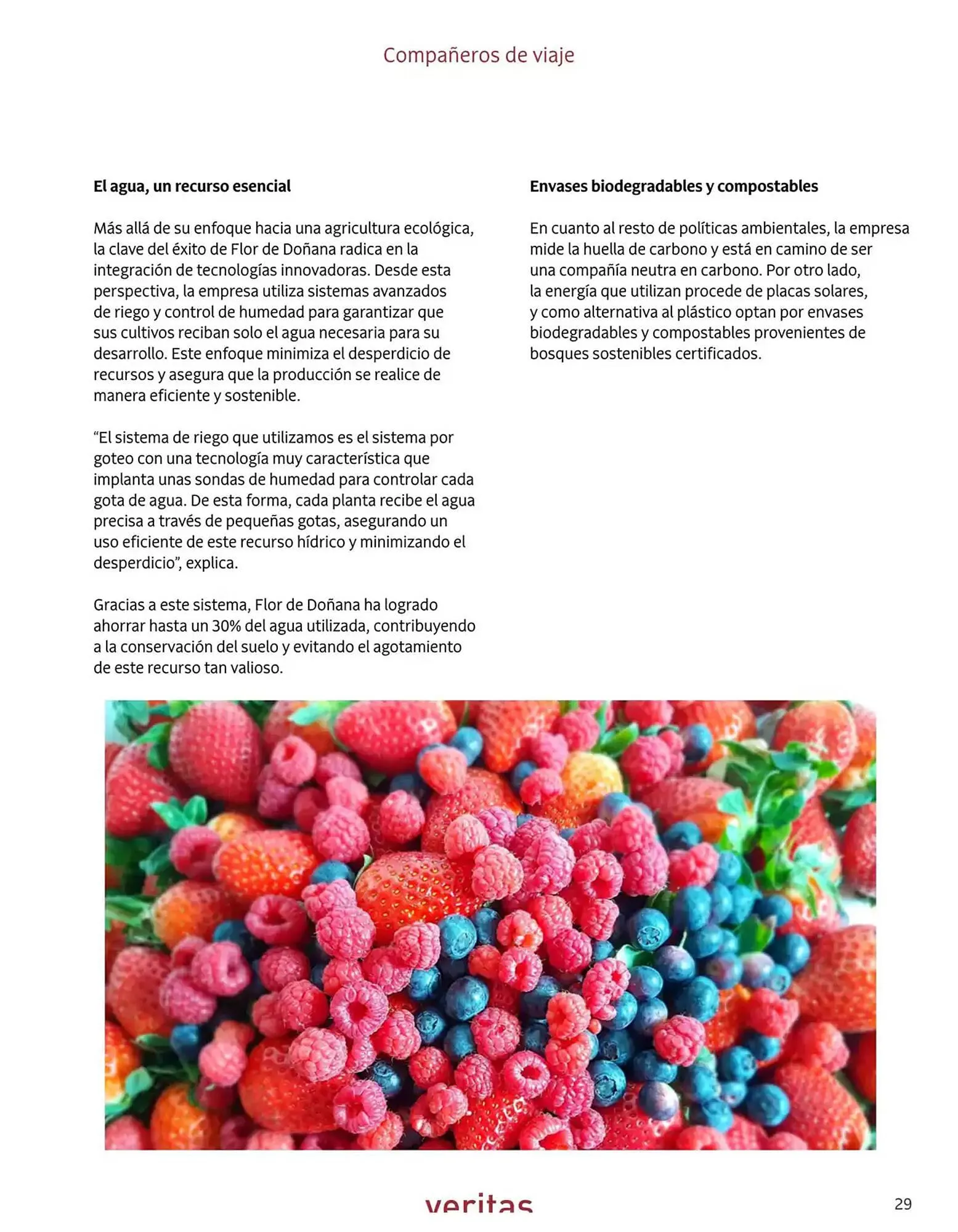 Catálogo de Folleto Veritas 1 de abril al 31 de mayo 2025 - Página 29