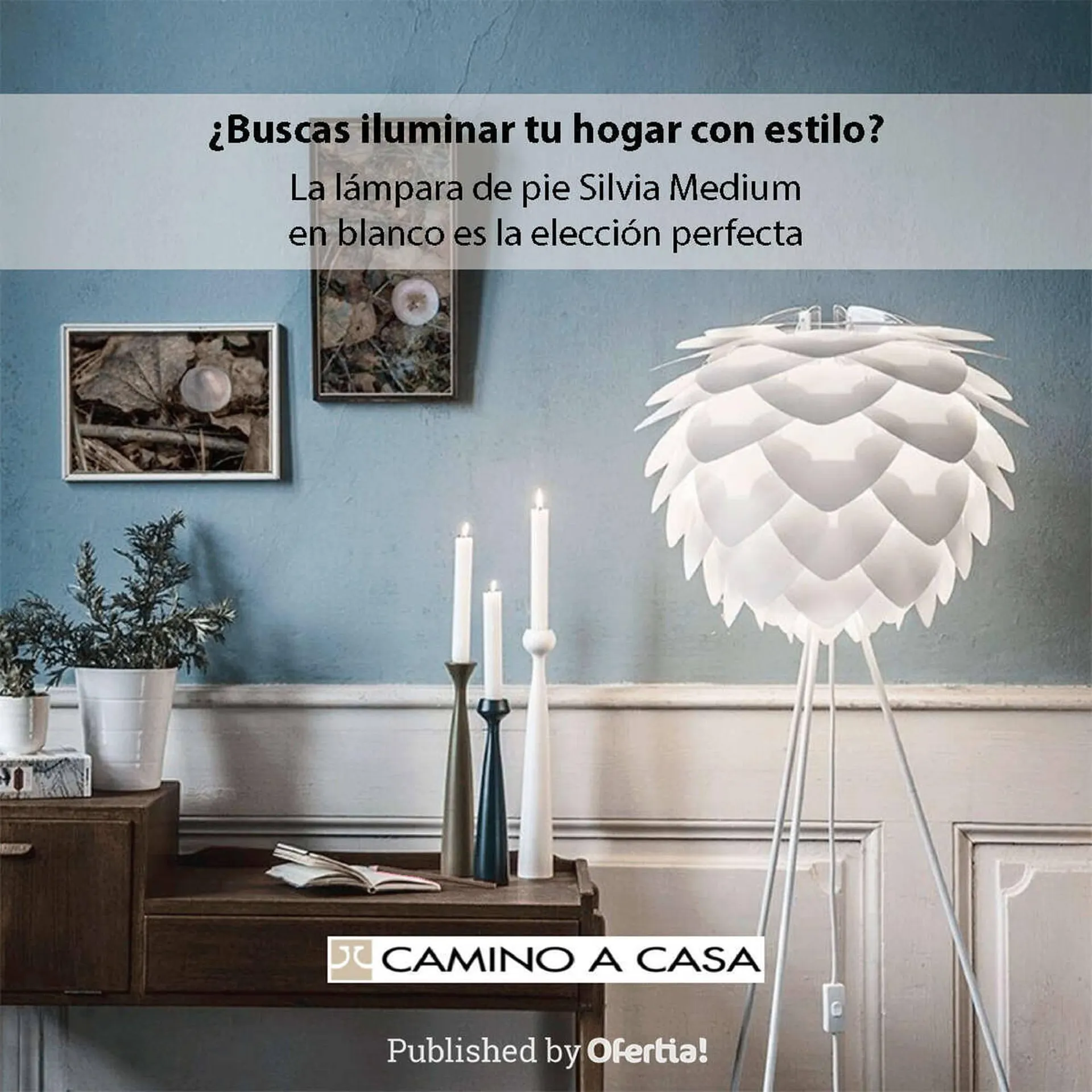 Folleto Camino a casa - 1