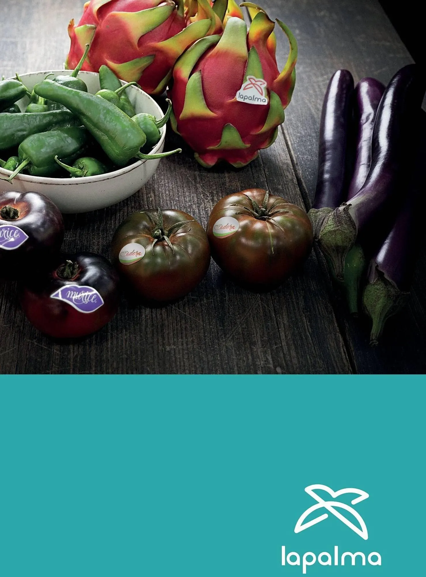 Catálogo de Catálogo Costco 6 de enero al 31 de marzo 2026 - Página 45