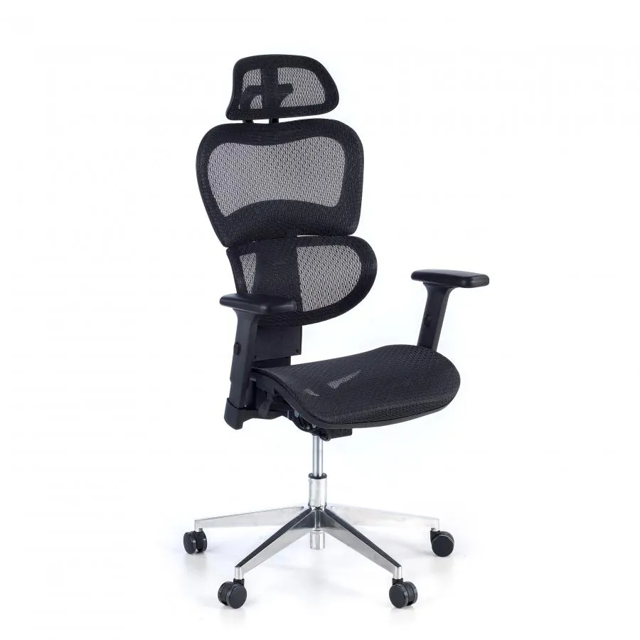 Silla Ergonómica Ergocity FX, base de aluminio y malla TechSport - Negro