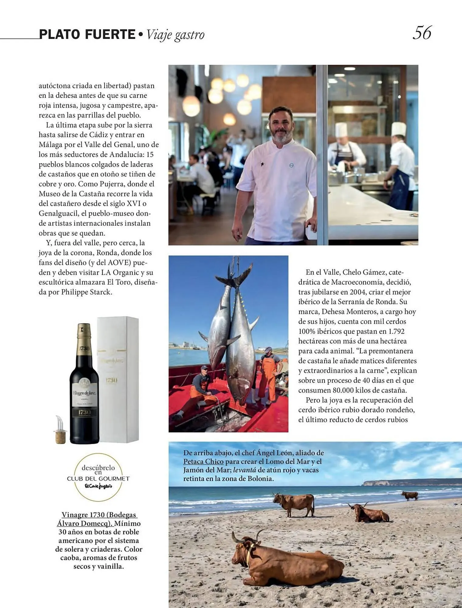 Catálogo de Catálogo El Corte Inglés 24 de marzo al 31 de mayo 2026 - Página 56