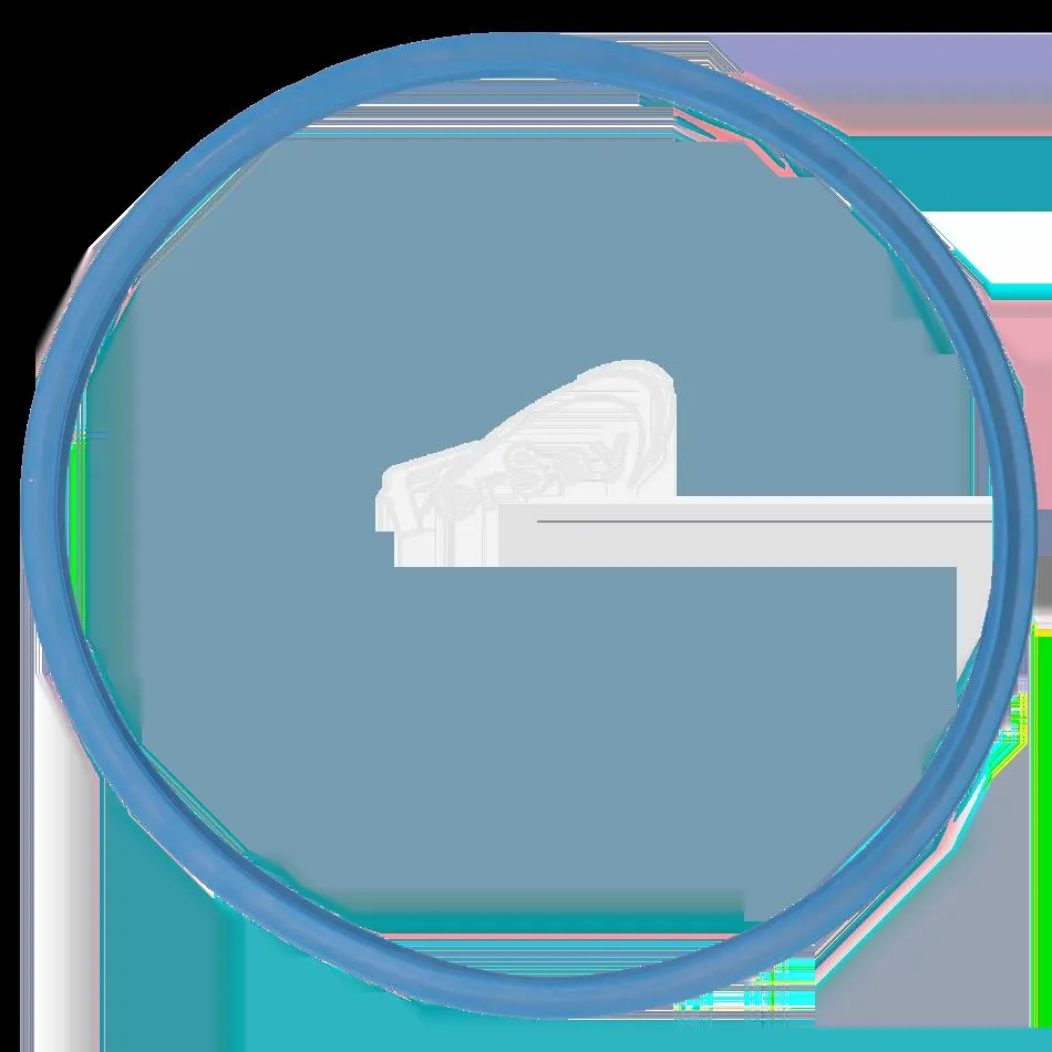 Goma para olla súper rápida Duromatic Multiplan 2000, 24 cm.