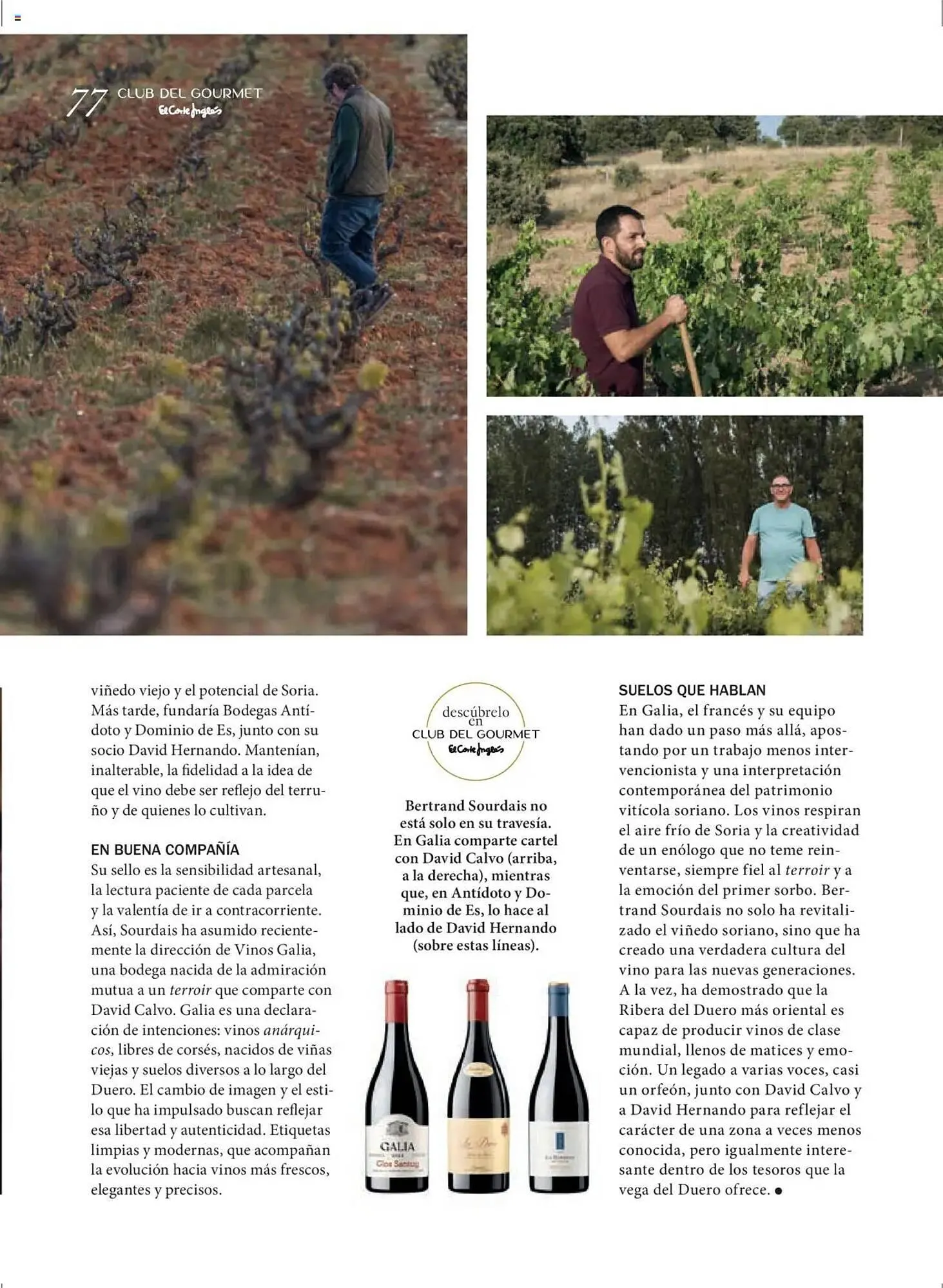 Catálogo de Folleto El Corte Inglés 27 de junio al 31 de agosto 2025 - Página 77