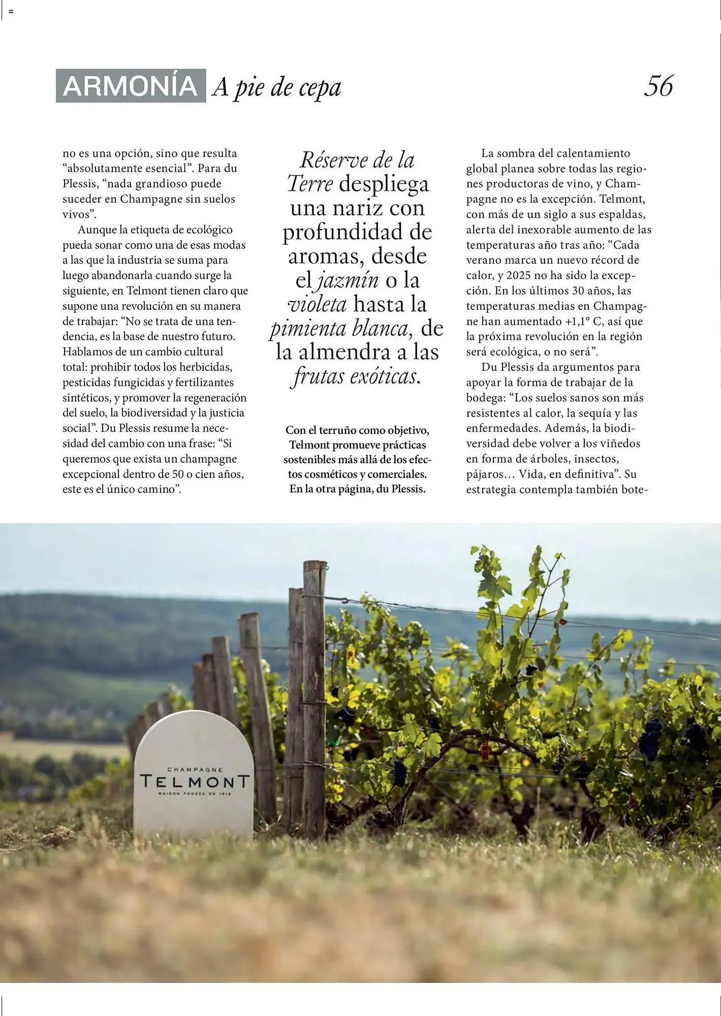 Catálogo de Catálogo El Corte Inglés 11 de diciembre al 31 de marzo 2026 - Página 56