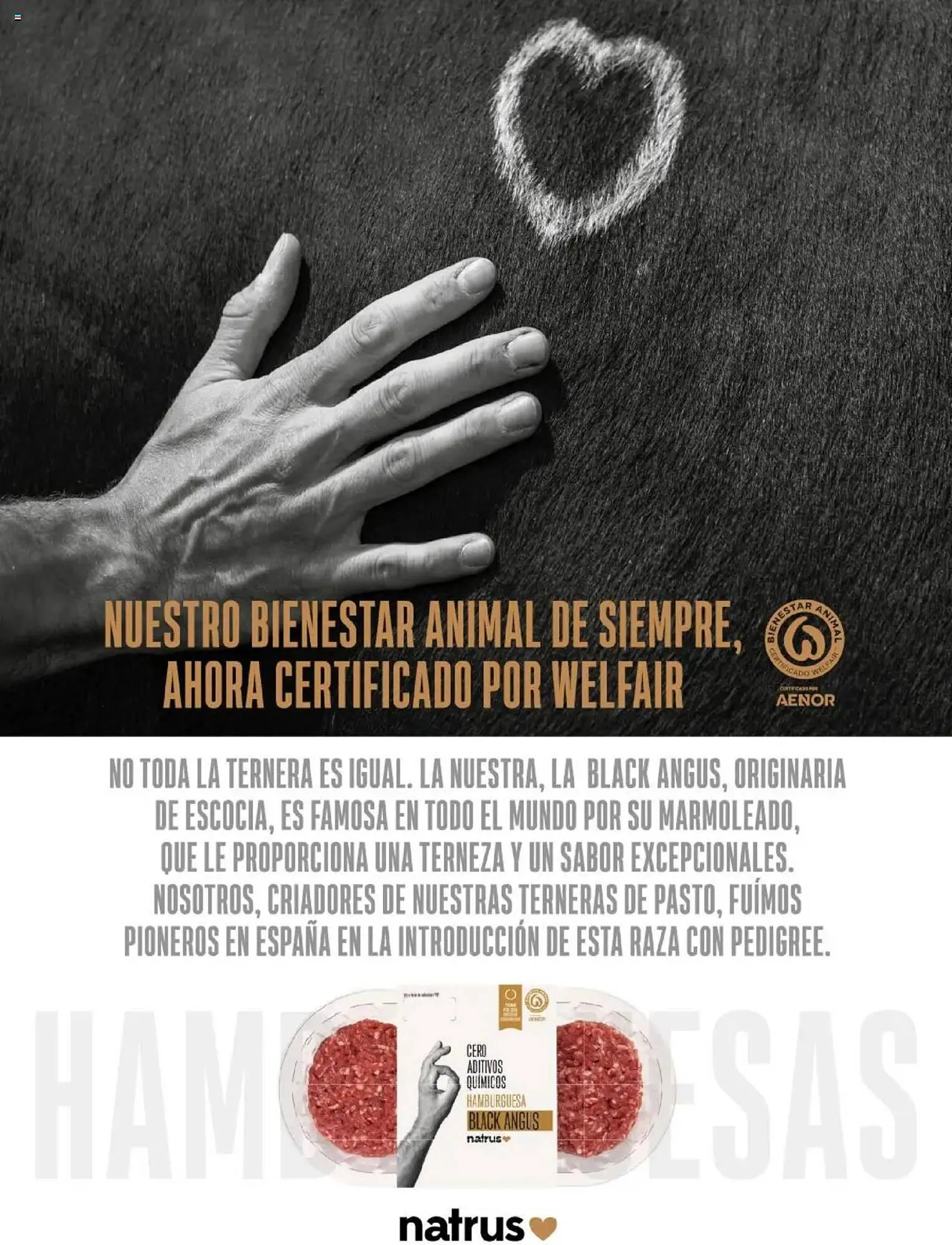 Catálogo de Folleto Costco 8 de abril al 31 de julio 2025 - Página 130