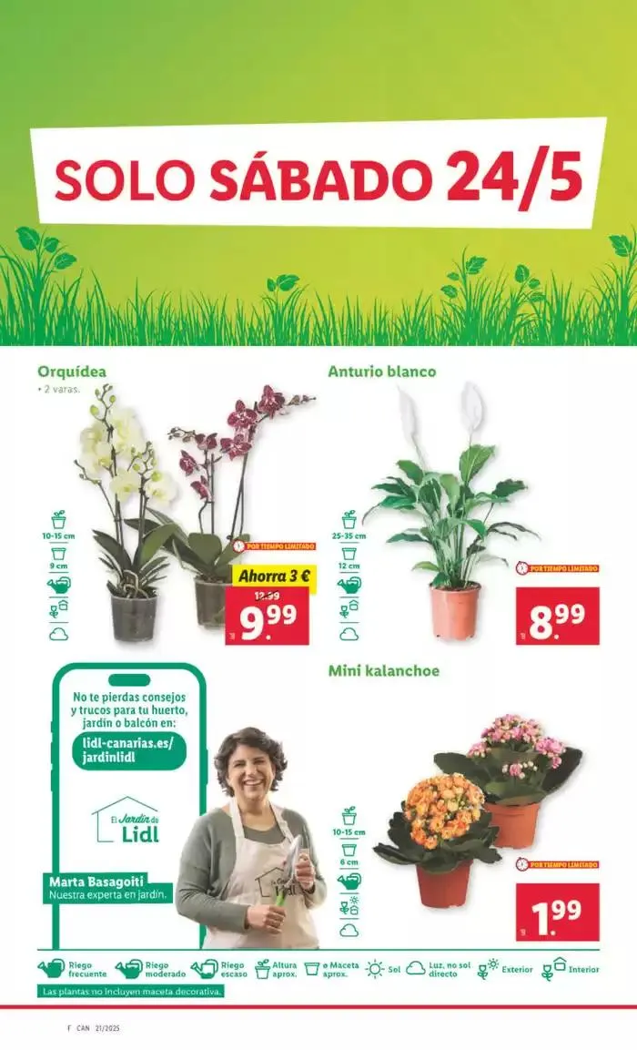 Catálogo de № 1 PRECIO - Ofertas válidas del 19/05 al 25/05 19 de mayo al 25 de mayo 2025 - Página 32