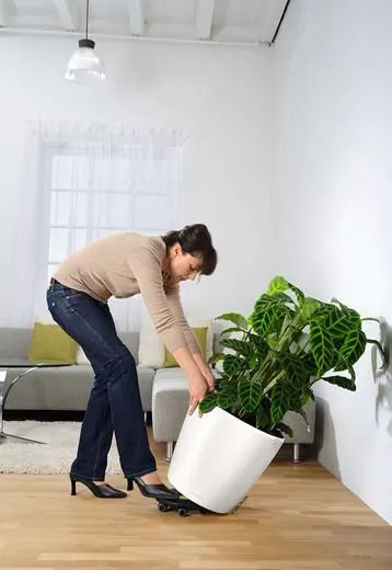 Maceta Lehuza autorriego Classico Premium 28,5 x 26 cm