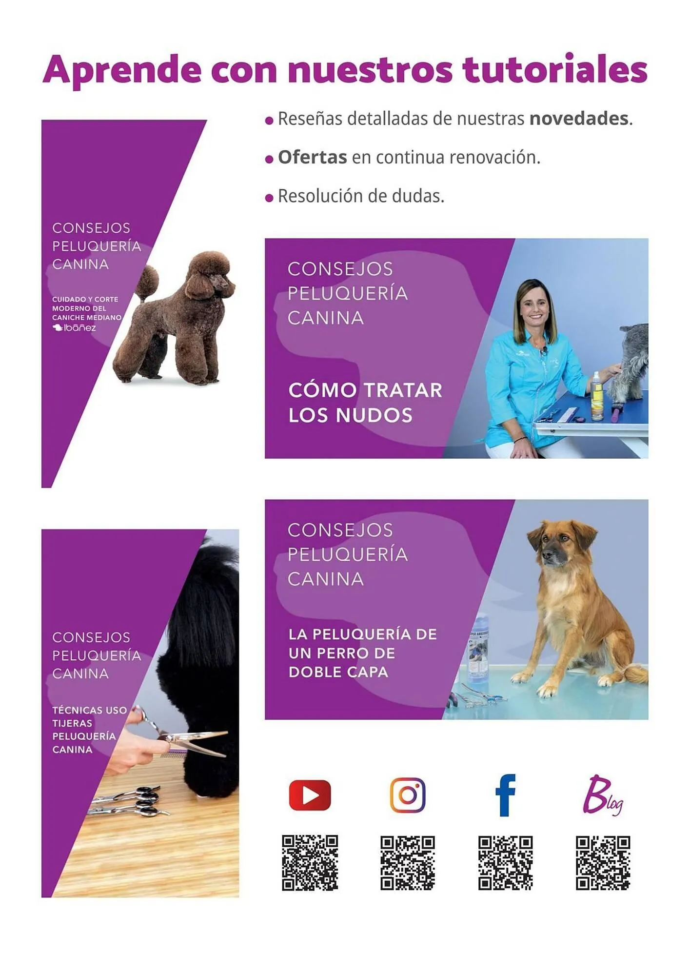 Catálogo de Folleto Setter Bakio 13 de junio al 31 de diciembre 2026 - Página 194