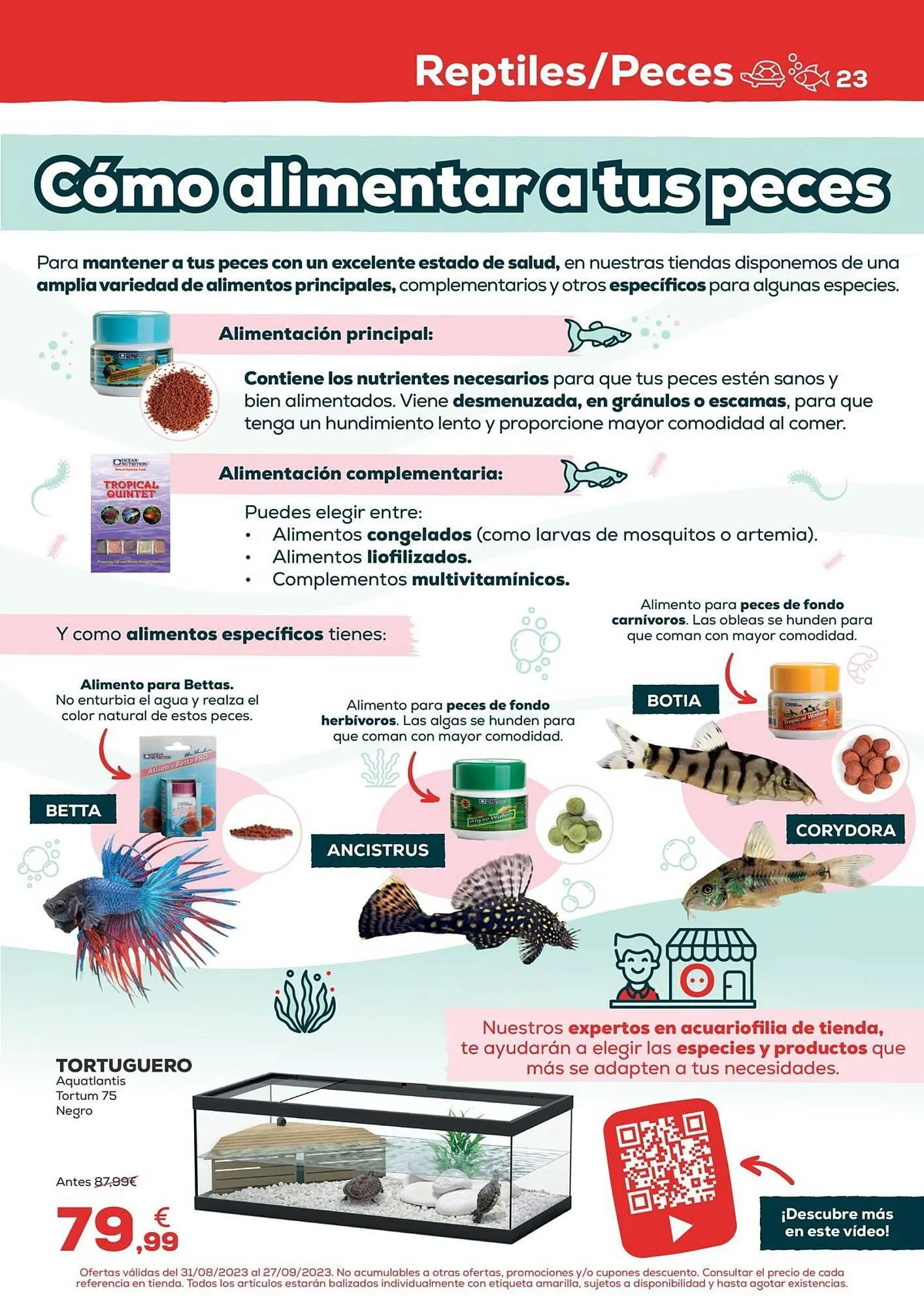 Catálogo de Folleto Kiwoko 31 de agosto al 27 de septiembre 2023 - Página 23