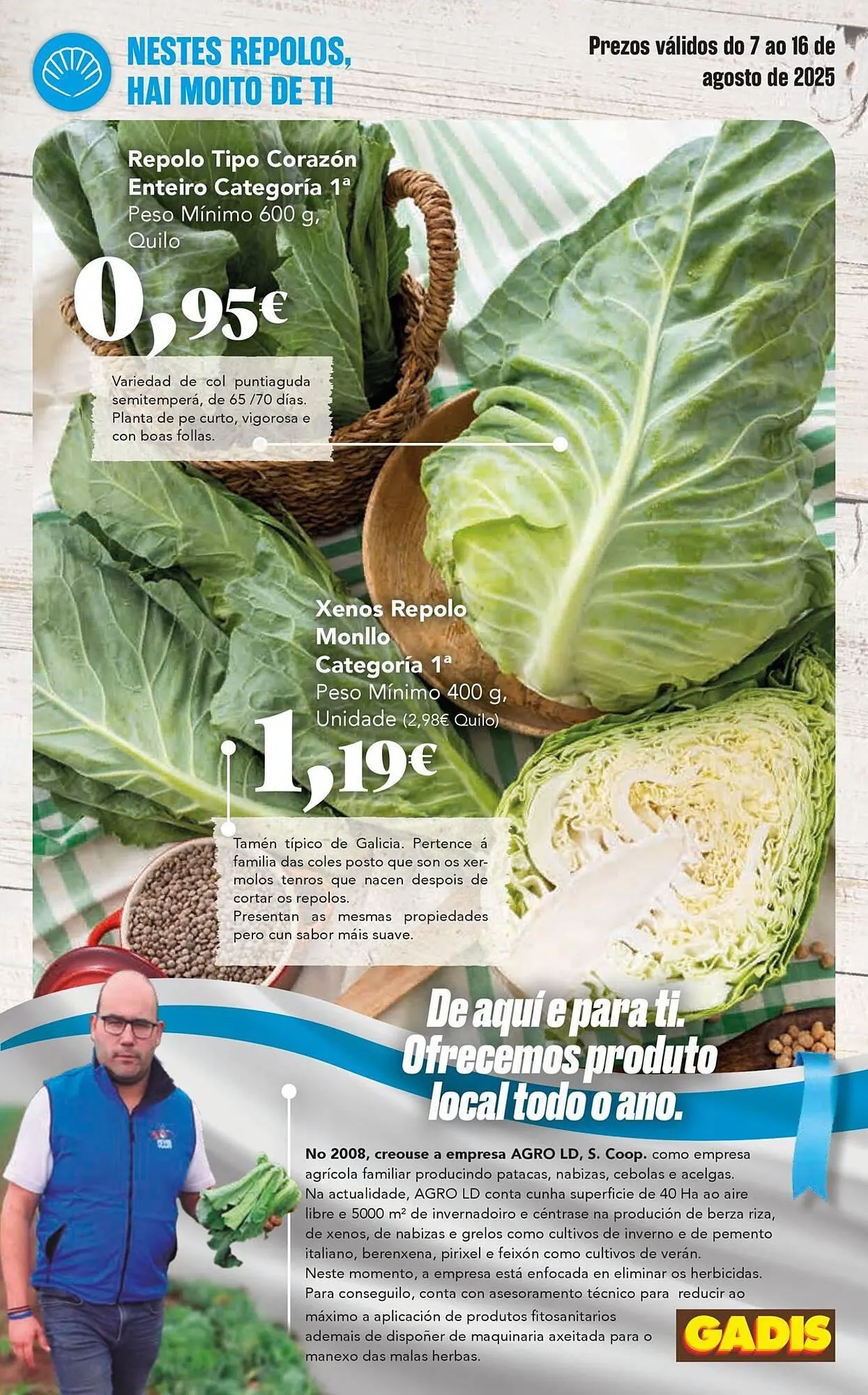 Catálogo de Folleto Gadis 7 de agosto al 16 de agosto 2025 - Página 5