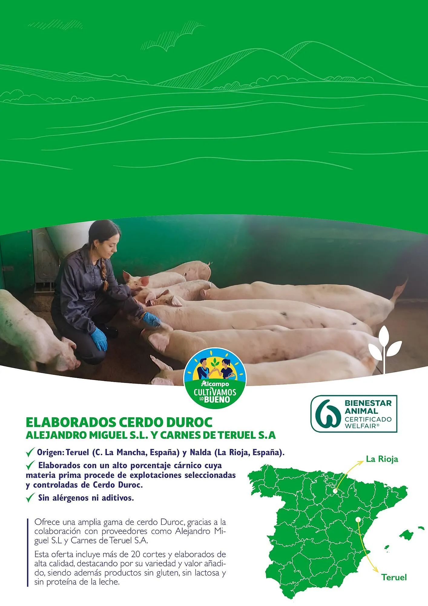 Catálogo de Folleto Alcampo 23 de abril al 31 de diciembre 2025 - Página 15