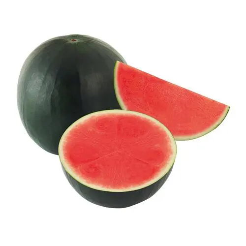 ALCAMPO CULTIVAMOS LO BUENO Sandía negra baja en semillas