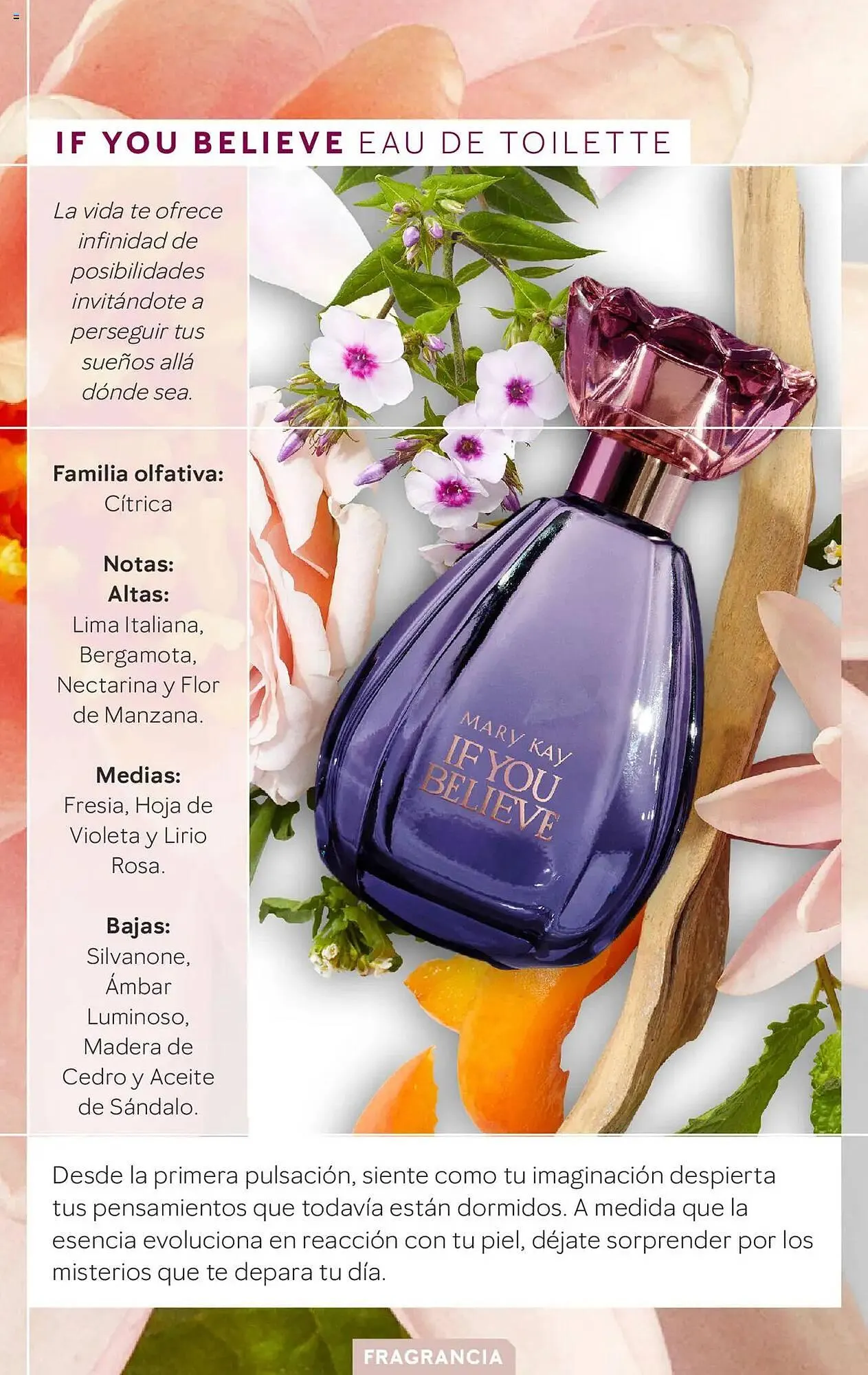 Catálogo de Folleto Mary Kay 11 de febrero al 30 de junio 2025 - Página 10