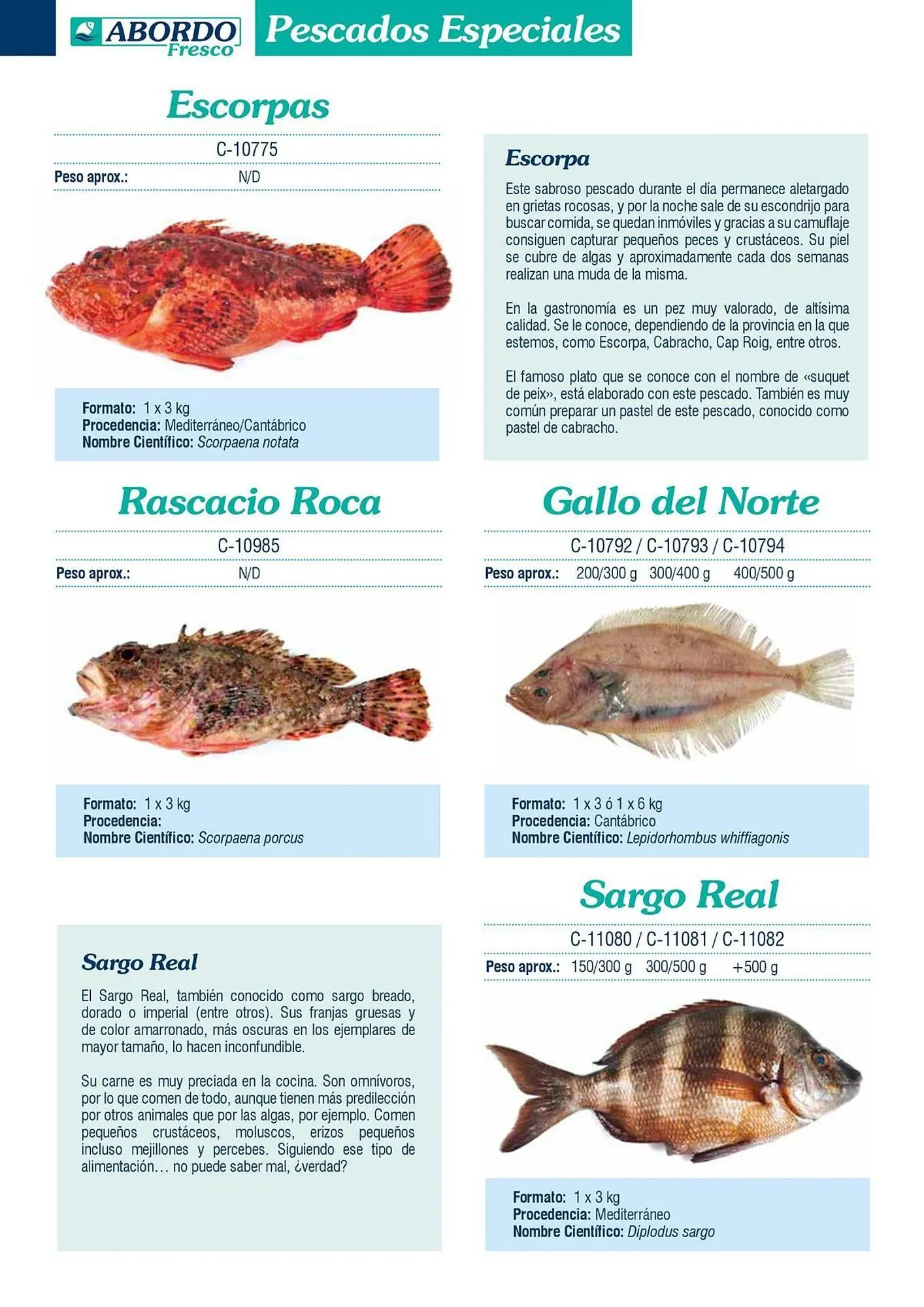 Catálogo de Folleto Abordo 5 de marzo al 30 de junio 2026 - Página 20