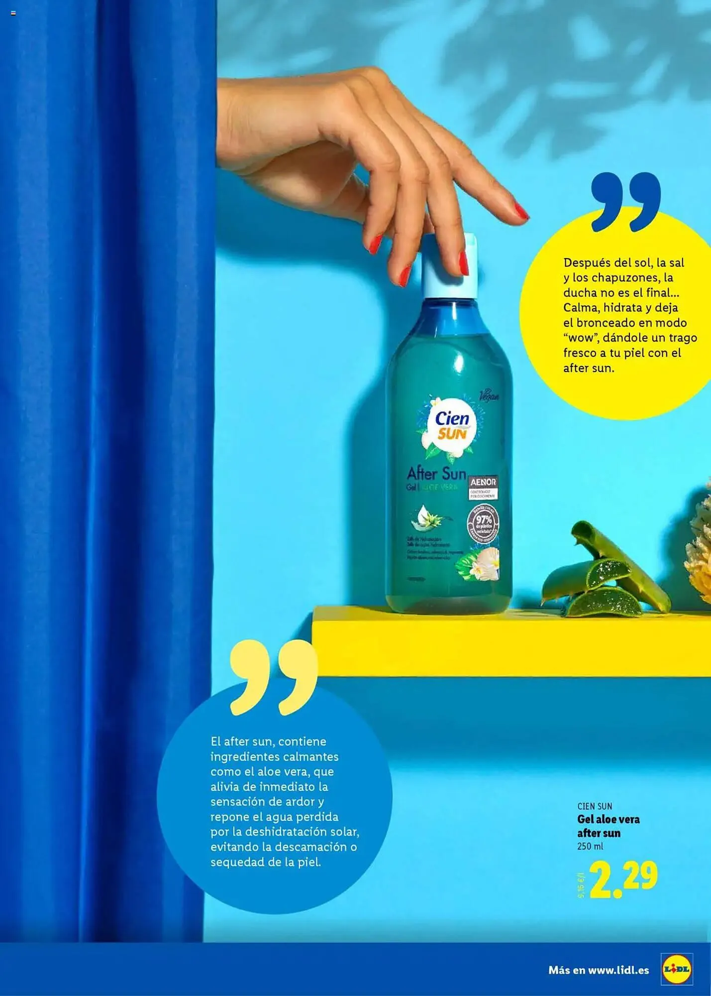 Catálogo de Folleto Lidl 23 de junio al 31 de agosto 2025 - Página 31