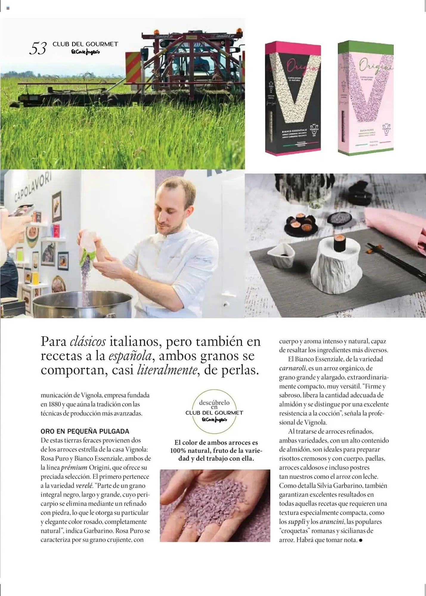 Catálogo de Folleto El Corte Inglés 27 de junio al 31 de agosto 2025 - Página 53