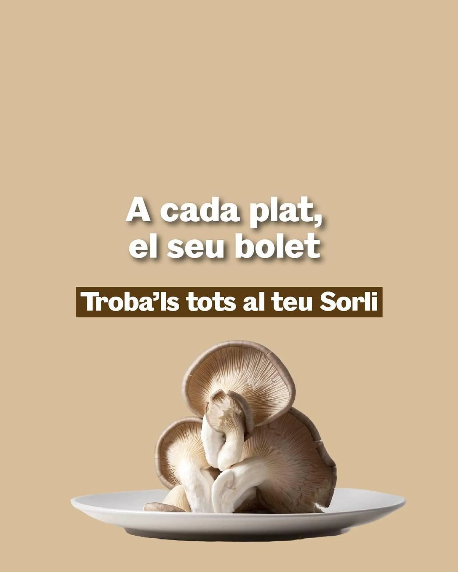 Catálogo de Catálogo Sorli 18 de noviembre al 6 de diciembre 2025 - Página 5