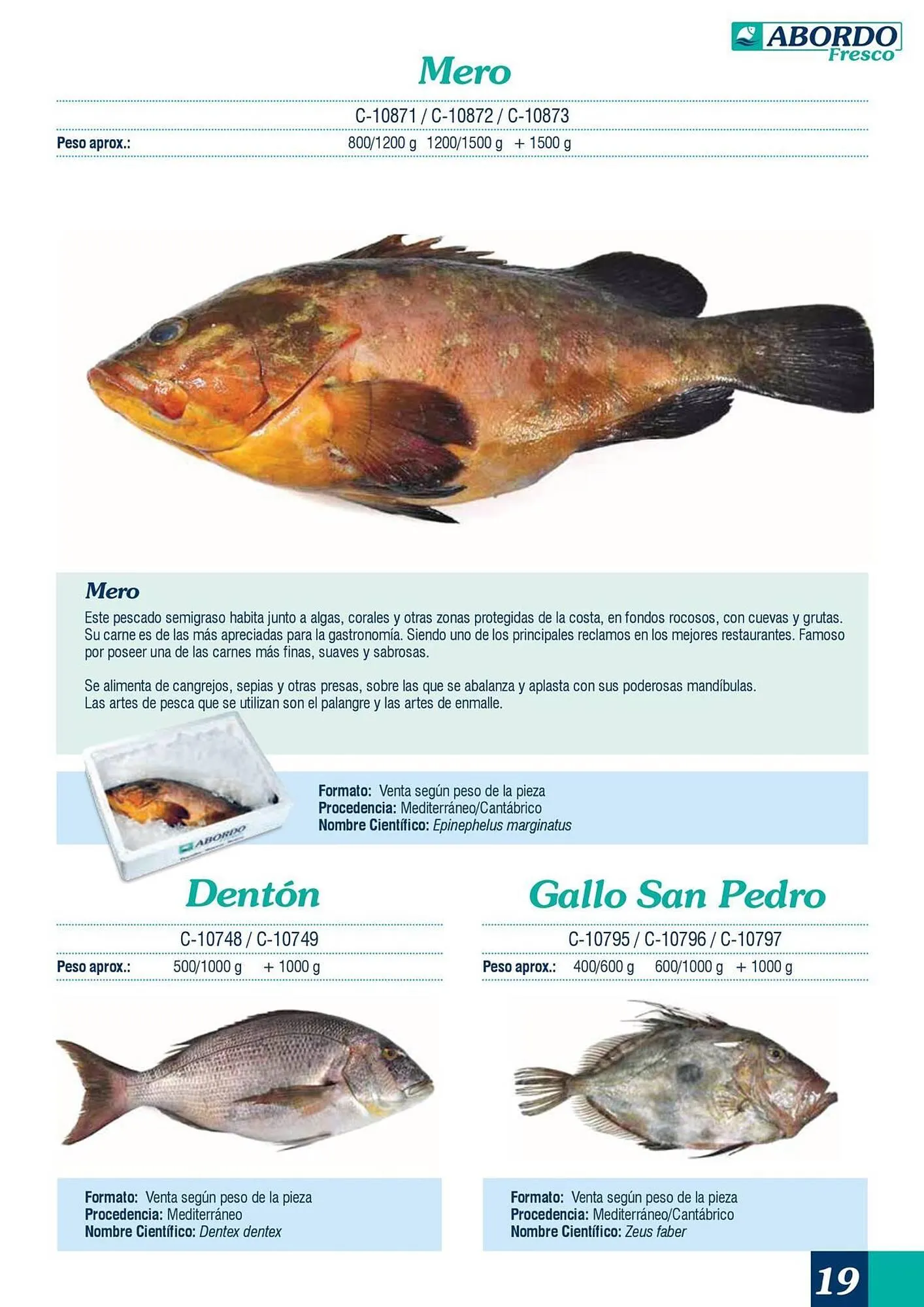 Catálogo de Folleto Abordo 5 de marzo al 30 de junio 2026 - Página 19