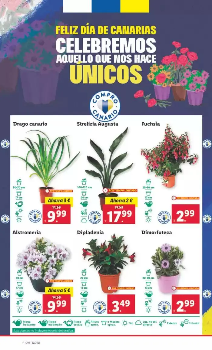 Catálogo de № 1 PRECIO - Ofertas válidas del 26/05 al 01/06 26 de mayo al 1 de junio 2025 - Página 28