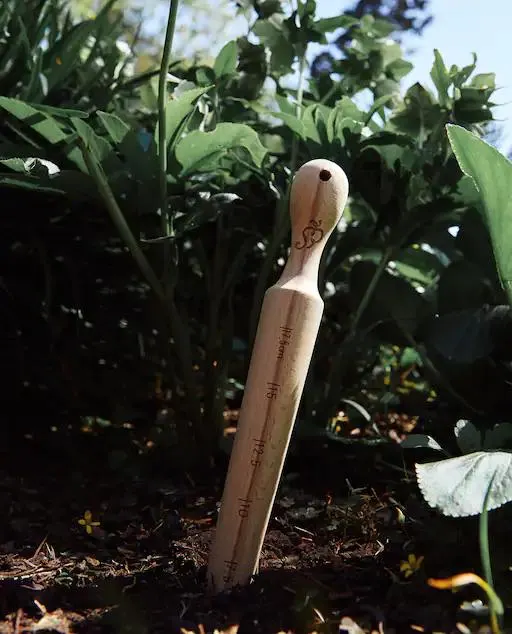 PLANTADOR MADERA ABEDUL JARDÍN