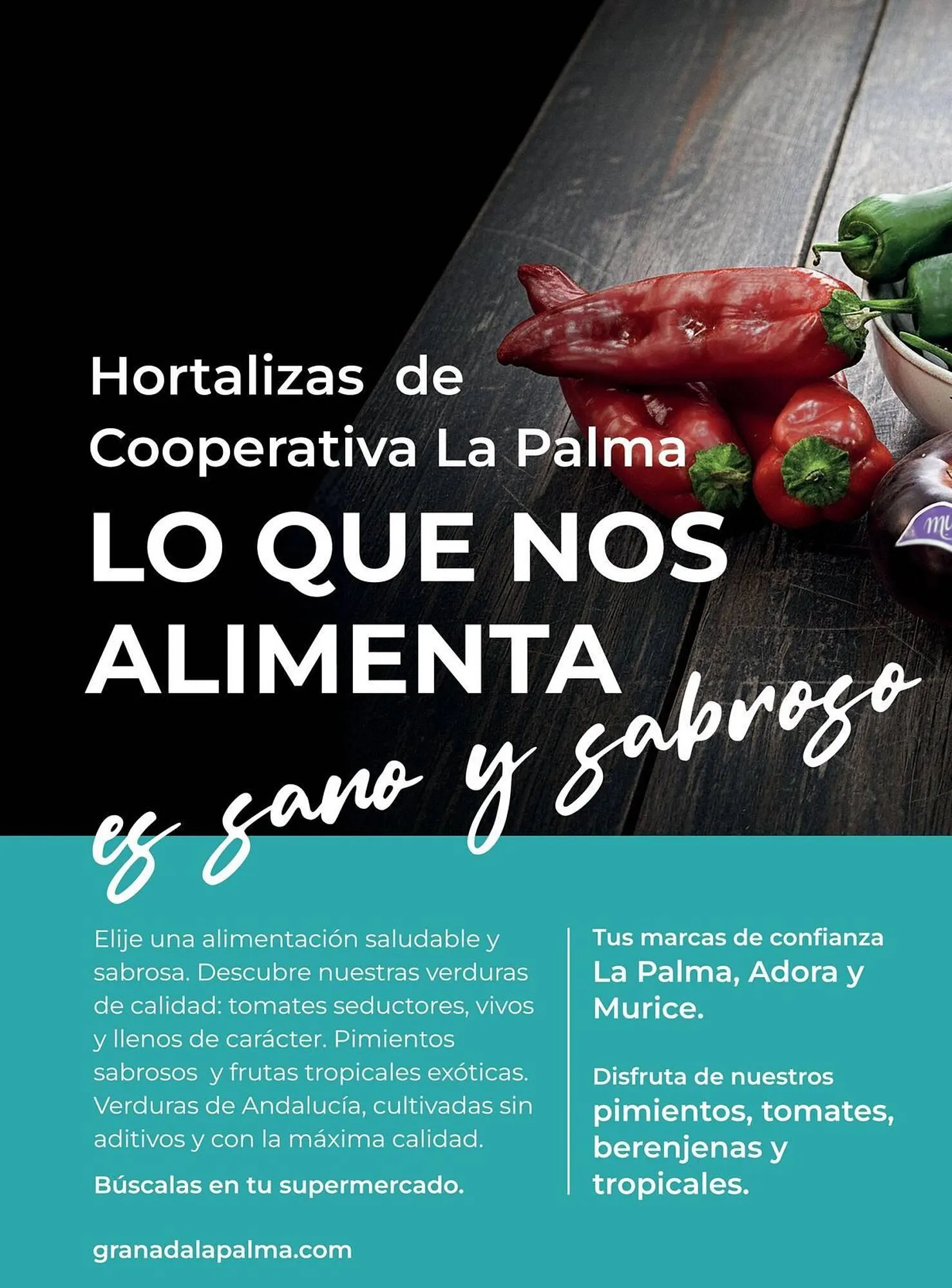 Catálogo de Catálogo Costco 6 de enero al 31 de marzo 2026 - Página 44