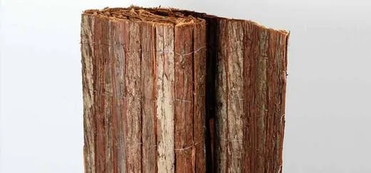 Ocultación corteza de abeto doble