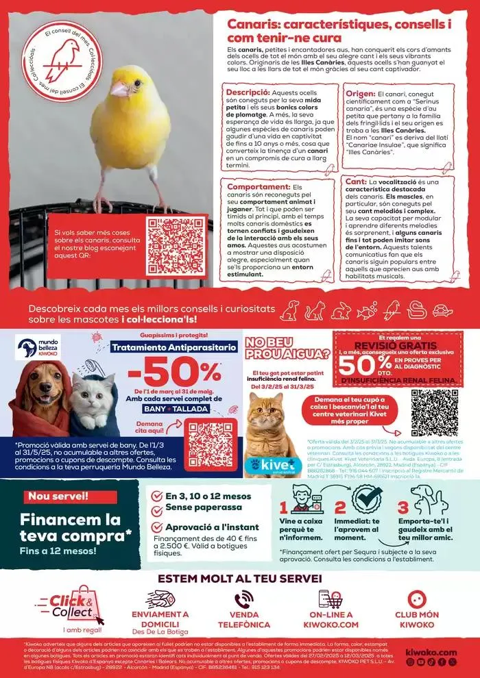 Catálogo de Bogeria de promo! 27 de febrero al 12 de marzo 2025 - Página 8