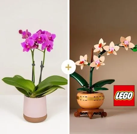 Mini Sonrisas LEGO®