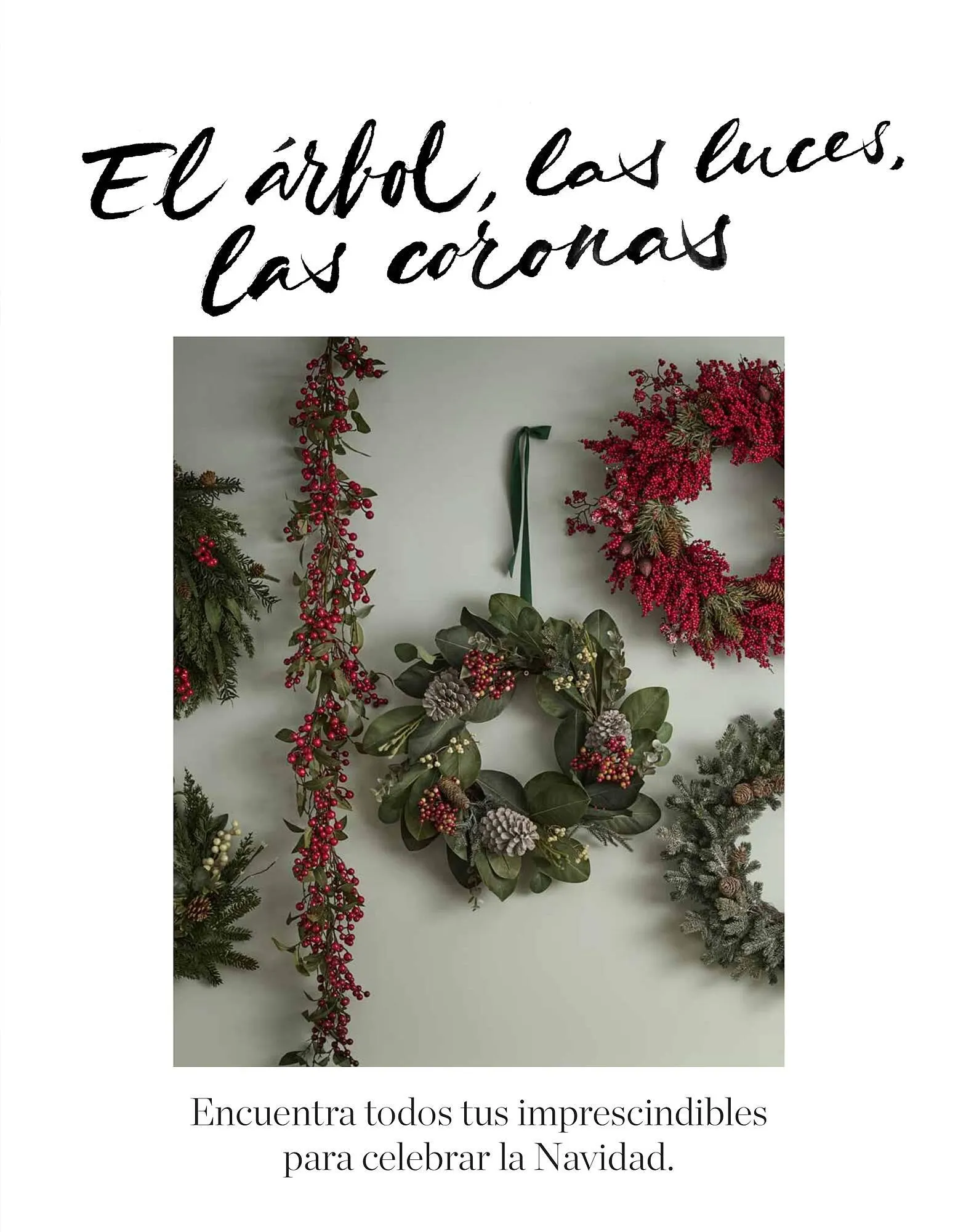 Catálogo de Folleto El Corte Inglés 15 de diciembre al 31 de diciembre 2023 - Página 43