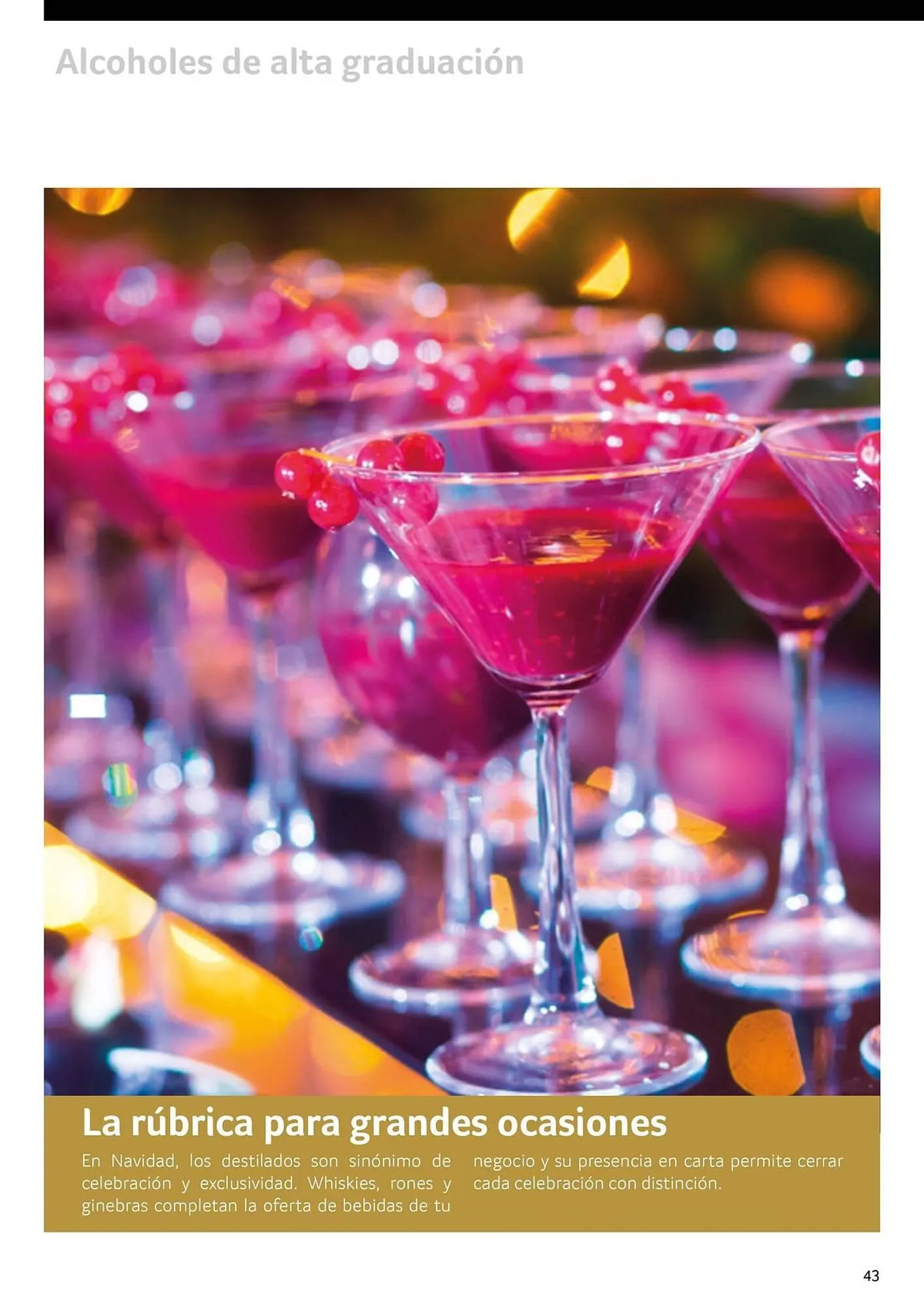 Catálogo de Folleto GM Cash & Carry 30 de septiembre al 31 de diciembre 2025 - Página 43