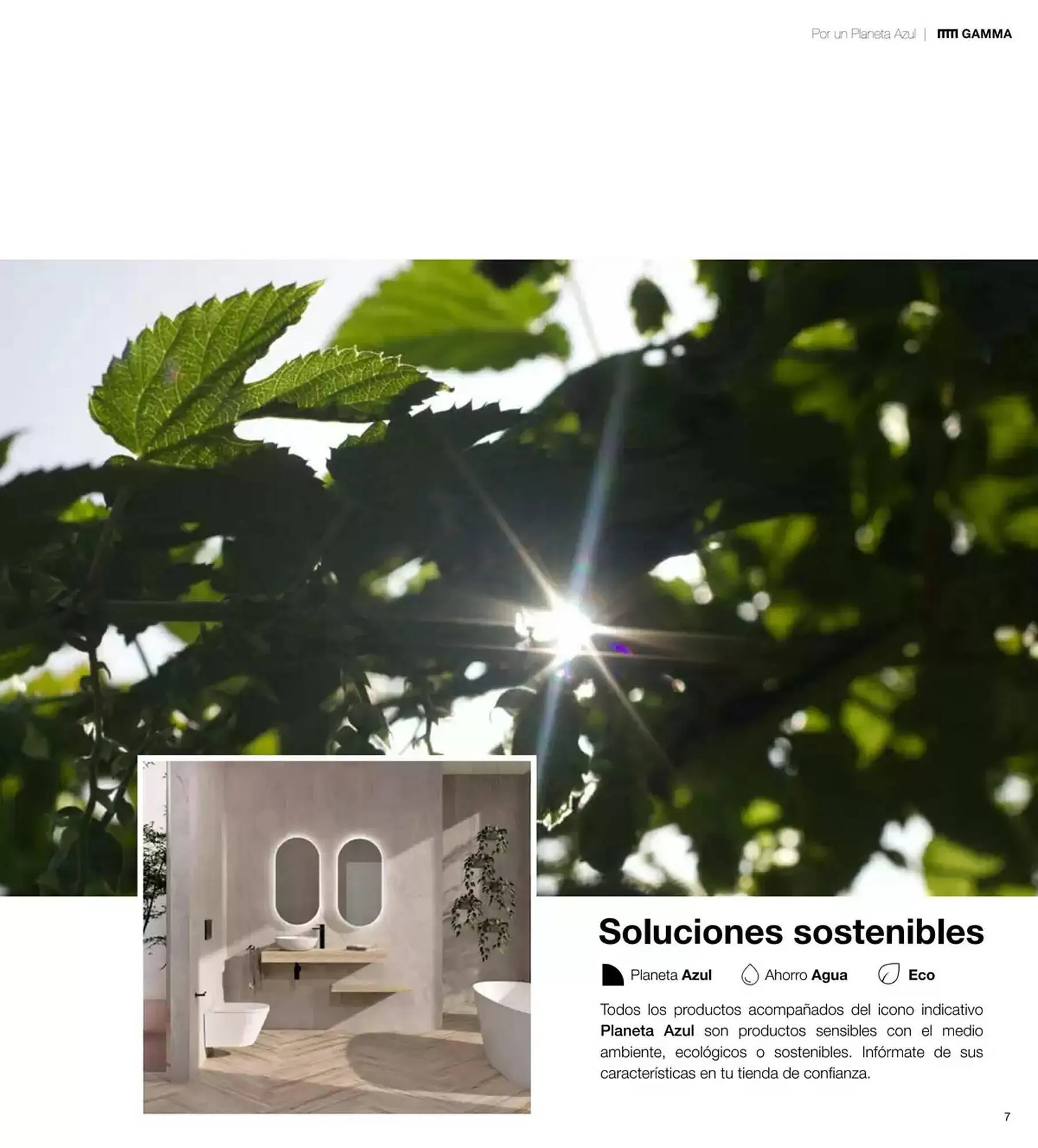 Catálogo de Folleto Grup Gamma 2 de enero al 31 de agosto 2025 - Página 166