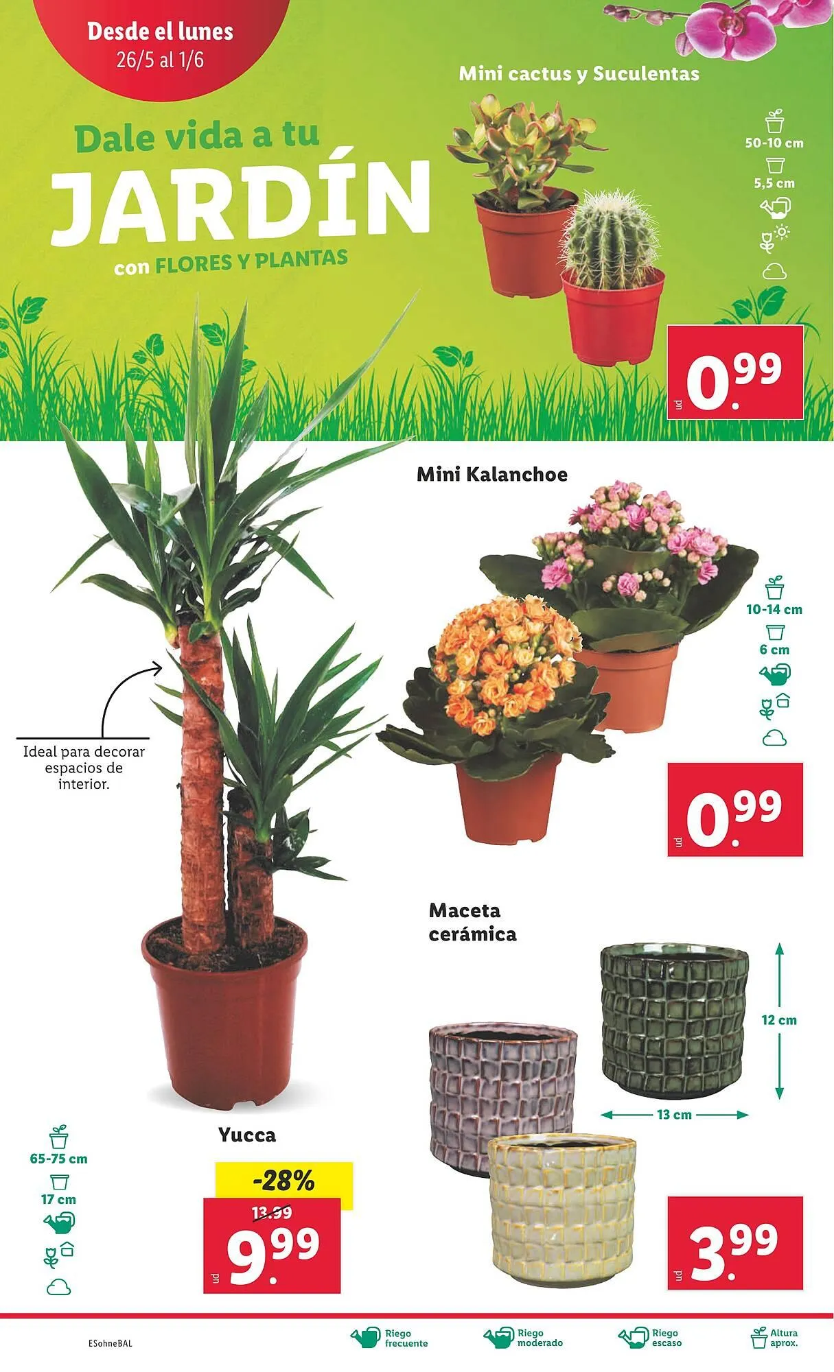 Catálogo de Folleto Lidl 26 de mayo al 1 de junio 2025 - Página 14