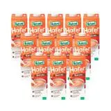 Pack 12 x Bebida Avena Barista BIO Natumi 1 L