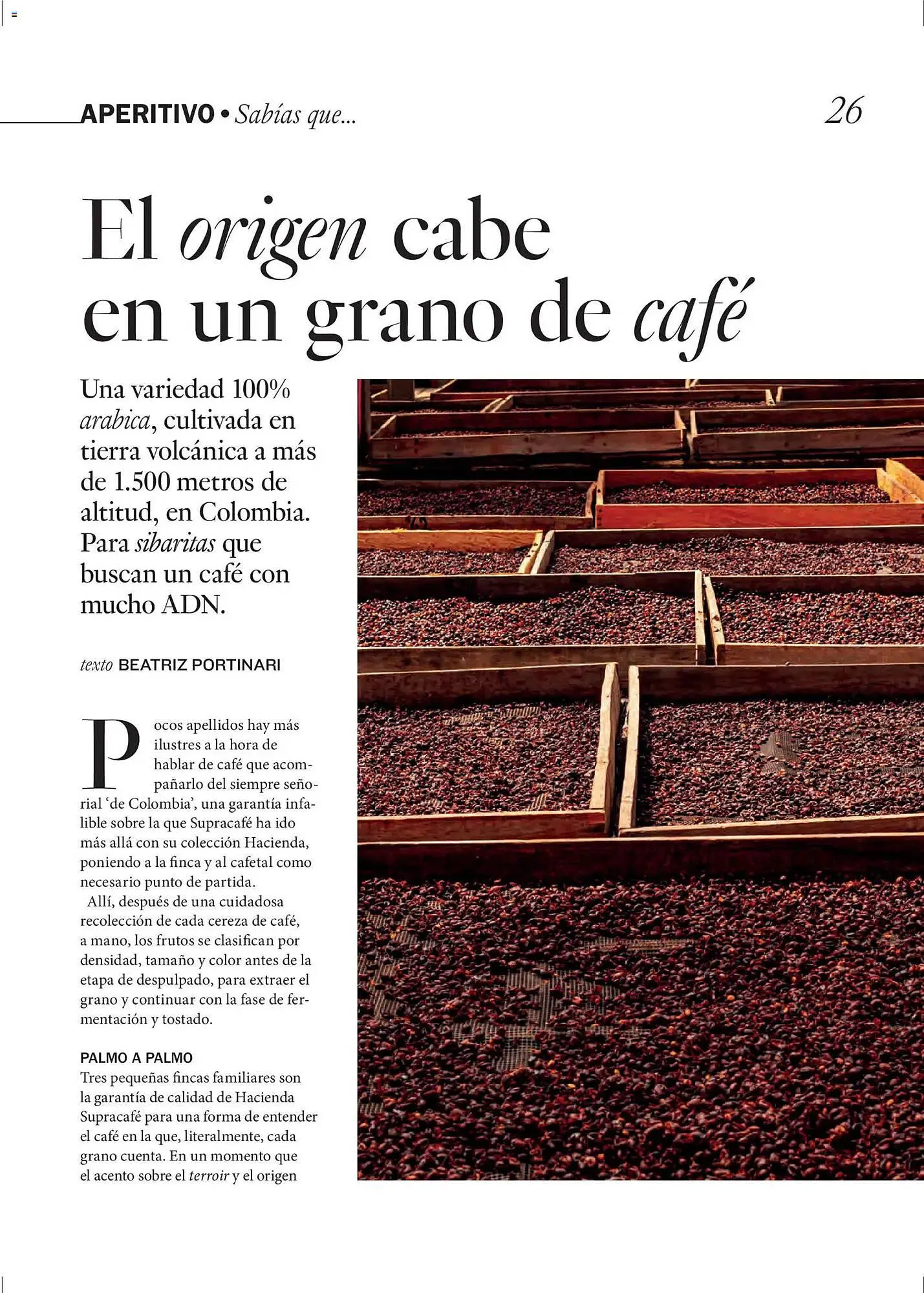 Catálogo de Catálogo El Corte Inglés 1 de abril al 30 de junio 2026 - Página 26